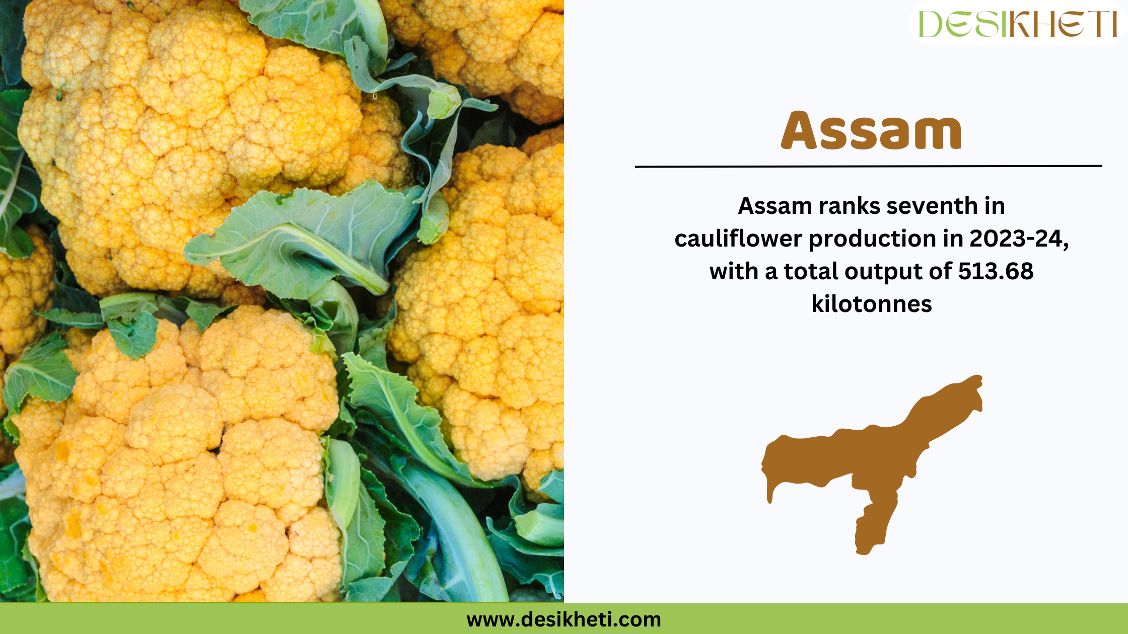 Assam ranks seventh in cauliflower production in 2023-24, with a total output of 513.7 kilotonnes. The image showcases fresh orange cauliflower heads with green leaves. On the right side, a white section contains the text "Assam" in bold brown letters, followed by production statistics in black font. Below the text, there is a brown silhouette of Assam’s map. The Desikheti logo is placed in the top right corner, and the website URL "www.desikheti.com" is displayed at the bottom on a green strip.