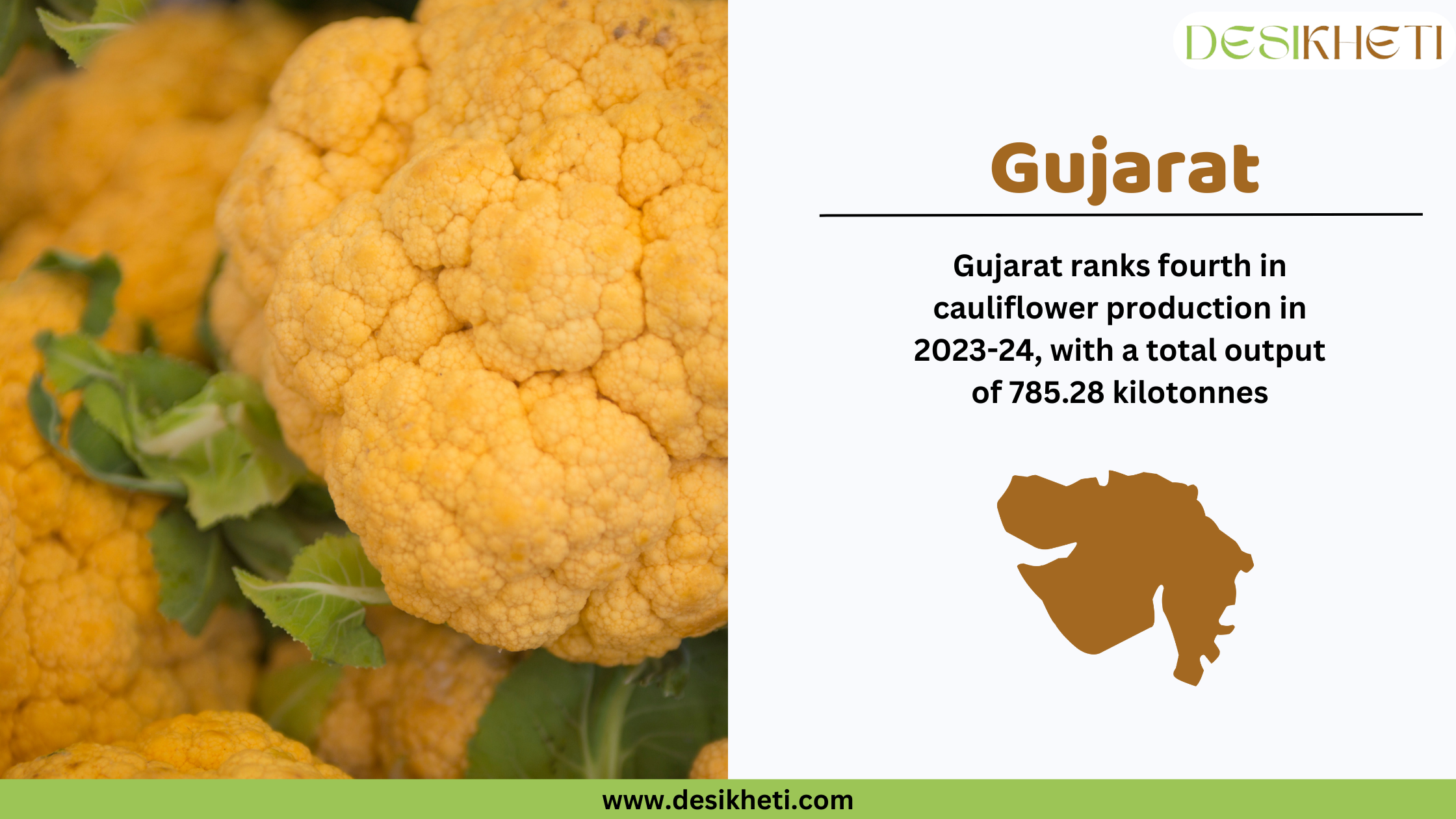 Gujarat ranks fourth in cauliflower production in 2023-24, with a total output of 785.3 kilotonnes. The image features bright orange cauliflower heads with fresh green leaves. On the right, a white section contains the text "Gujarat" in bold brown letters, followed by production statistics in black font. Below the text, there is a brown silhouette of Gujarat’s map. The Desikheti logo is positioned in the top right corner, and the website URL "www.desikheti.com" is displayed at the bottom on a green strip.