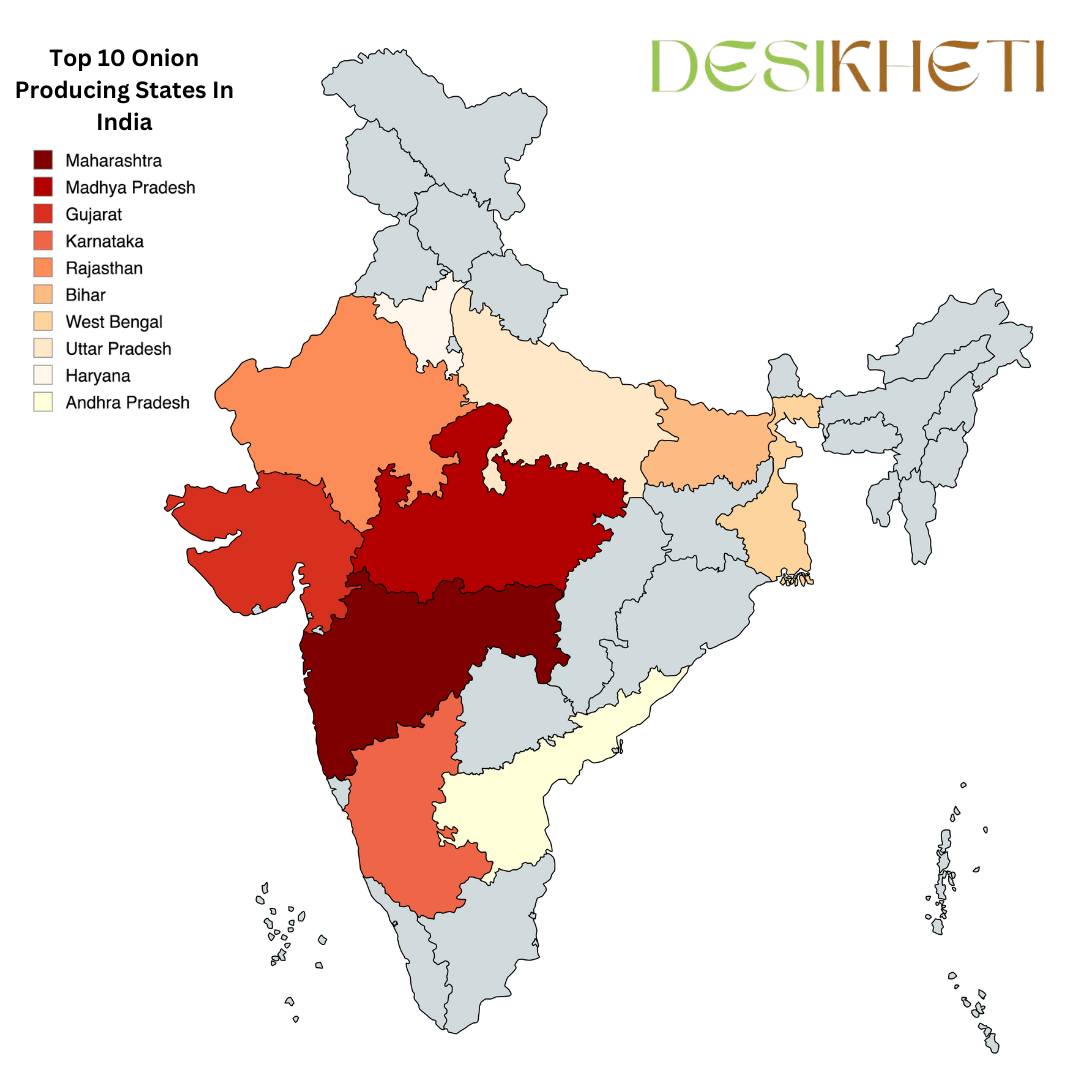 Top 10 onion-producing states in India are highlighted on a color-coded map. Maharashtra, the highest producer, is marked in dark red, followed by Madhya Pradesh in a slightly lighter red. Other major onion-producing states—Gujarat, Karnataka, Rajasthan, Bihar, West Bengal, Uttar Pradesh, Haryana, and Andhra Pradesh—are shown in different shades of orange and beige. The map includes a legend explaining the color coding. "Desikheti" is displayed at the top right corner, reinforcing branding. The map visually represents India's leading onion-producing regions for easy reference.