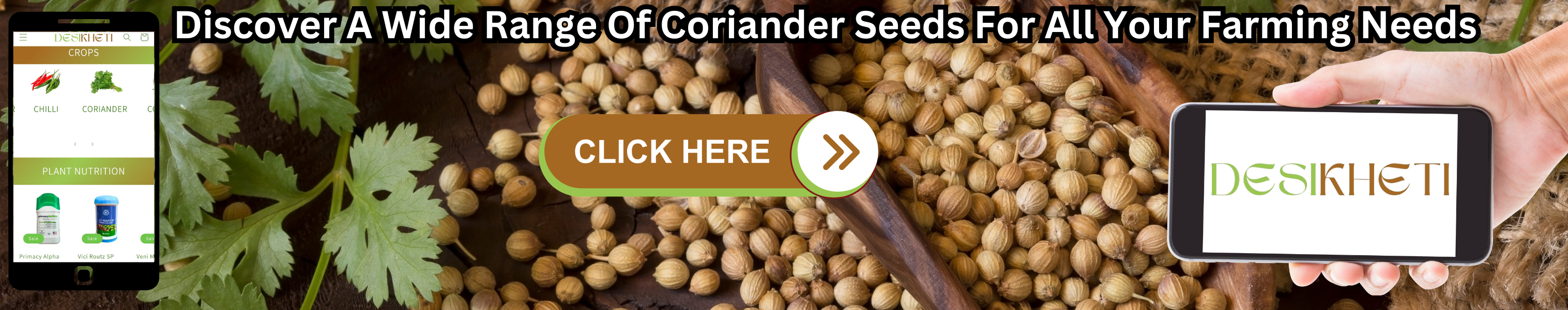 Discover A Wide Range Of Coriander Seeds For All Your Farming Needs. A promotional banner featuring coriander seeds and fresh coriander leaves. A wooden scoop filled with coriander seeds rests on a bed of seeds. On the left, a smartphone displays the 'DESIKHETI' website, showcasing different crops like 'Chilli' and 'Coriander,' along with plant nutrition products. On the right, a hand holds a smartphone displaying the 'DESI KHETI' logo. A large button in the center says 'CLICK HERE' in white text on a brown and green background."
