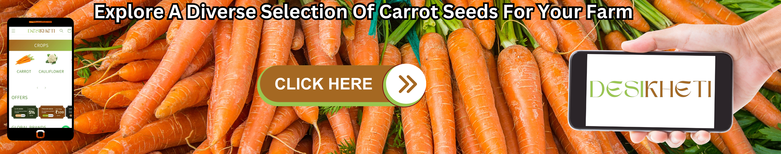 A promotional banner for Desikheti featuring freshly harvested carrots with soil. The text at the top reads, "Explore A Diverse Selection Of Carrot Seeds For Your Farm." On the left, a smartphone displays the Desikheti website showing crops like carrot and cauliflower. On the right, a hand holds a phone with the Desikheti logo. A central button labeled "CLICK HERE" encourages users to explore carrot seed options. The background emphasizes fresh carrot cultivation.