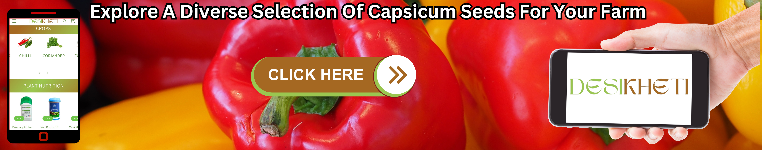 Advertisement banner promoting capsicum seeds on Desikheti. The background features red and yellow capsicums. The text at the top reads, "Explore A Diverse Selection Of Capsicum Seeds For Your Farm." On the left, a smartphone displays the Desikheti website showcasing crop and plant nutrition products. In the center, a brown and green button with "CLICK HERE" and a forward arrow encourages action. On the right, a hand holds a phone displaying the Desikheti logo.