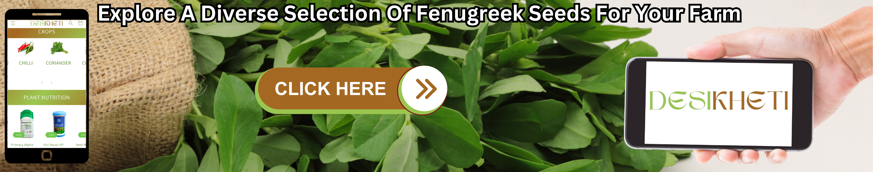 Explore a diverse selection of fenugreek seeds for your farm with Desikheti. The image features fresh fenugreek leaves in the background. On the left, a smartphone displays the Desikheti website with various crop options like chili and coriander, along with plant nutrition products. In the center, a brown and green "CLICK HERE" button invites users to explore more. On the right, a hand holds a smartphone displaying the Desikheti logo. The text "Explore A Diverse Selection Of Fenugreek Seeds For Your Farm" is prominently displayed at the top.