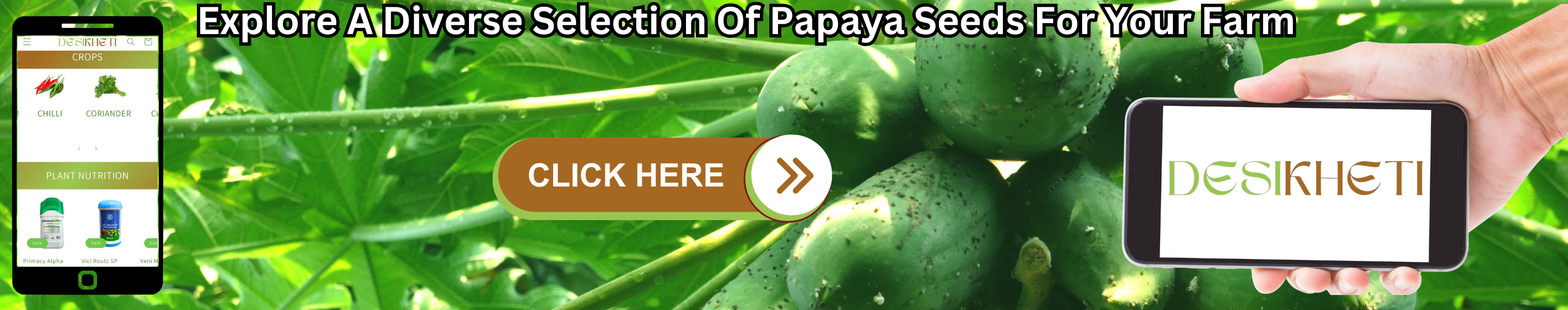  Explore a diverse selection of papaya seeds for your farm. The banner features a lush green background with papaya fruits on a tree. On the left, a smartphone screen displays the Desikheti platform showcasing crops like chili and coriander, along with plant nutrition products. On the right, a hand holds a mobile phone displaying the Desikheti logo. A prominent "CLICK HERE" button in the center encourages users to explore papaya seeds.