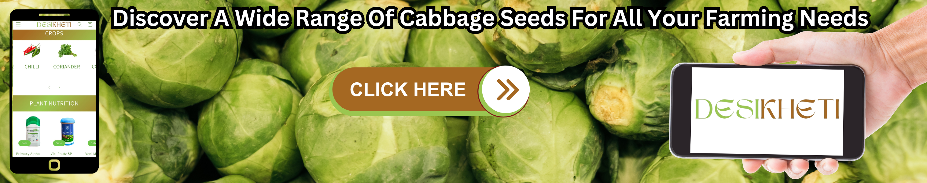 Enhance your crop yields with high-quality cabbage seeds. The banner features fresh green cabbages in the background, a smartphone on the left displaying the Desikheti website with agricultural products, and another smartphone on the right showing the Desikheti logo. A central call-to-action button labeled "Click Here" encourages users to explore cabbage seed options. The bold text emphasizes improved farming results with Desikheti's premium seeds.