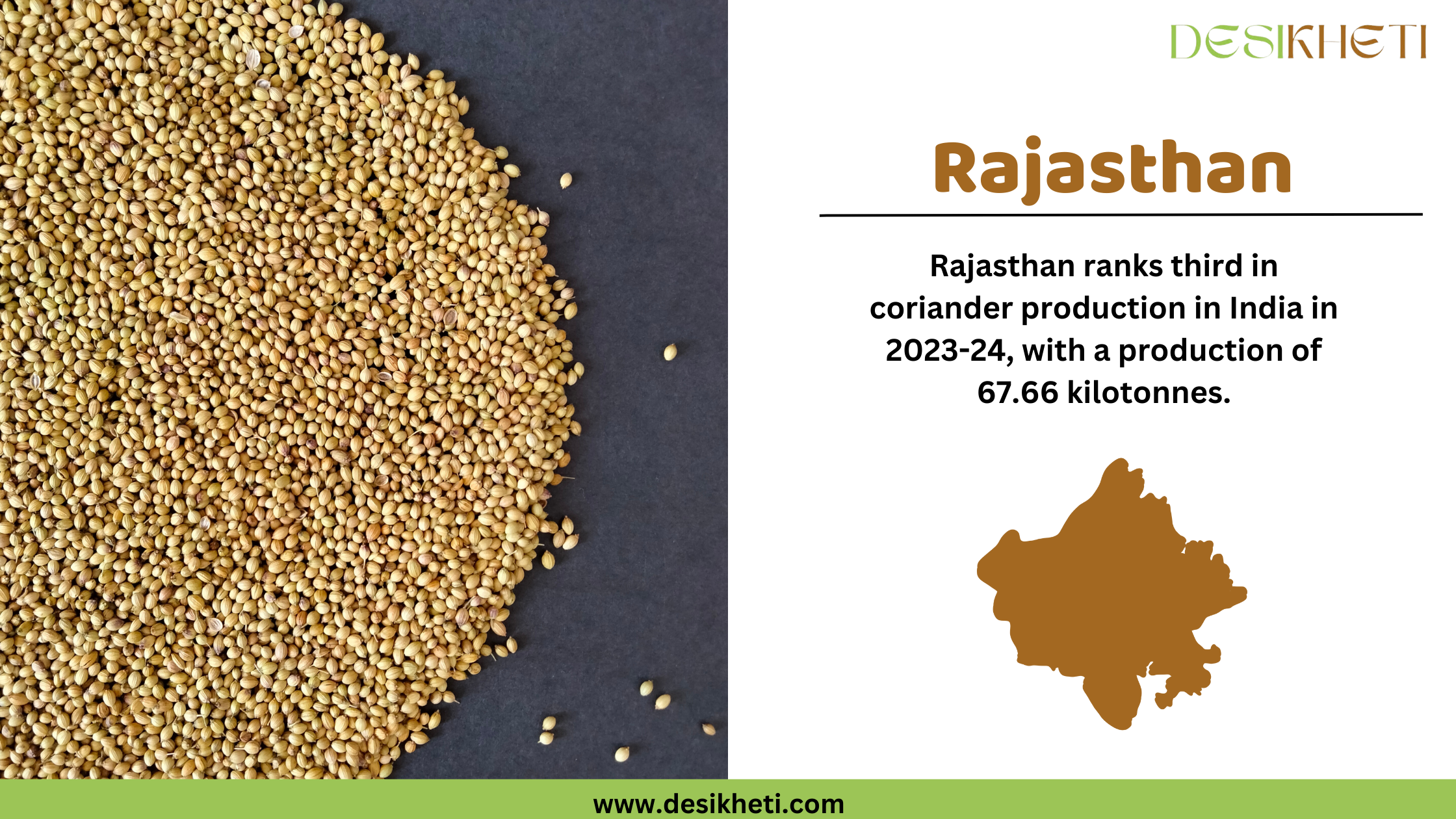 A large pile of golden coriander seeds spread on a dark surface on the left side of the image. On the right side, the heading "Rajasthan" is written in bold brown text, followed by the statement "Rajasthan ranks third in coriander production in India in 2023-24, with a production of 67.66 kilotonnes." Below this, a brown silhouette map of Rajasthan is displayed. The "Desi Kheti" logo is placed at the top right corner. At the bottom, a green bar contains the website URL "www.desikheti.com."

