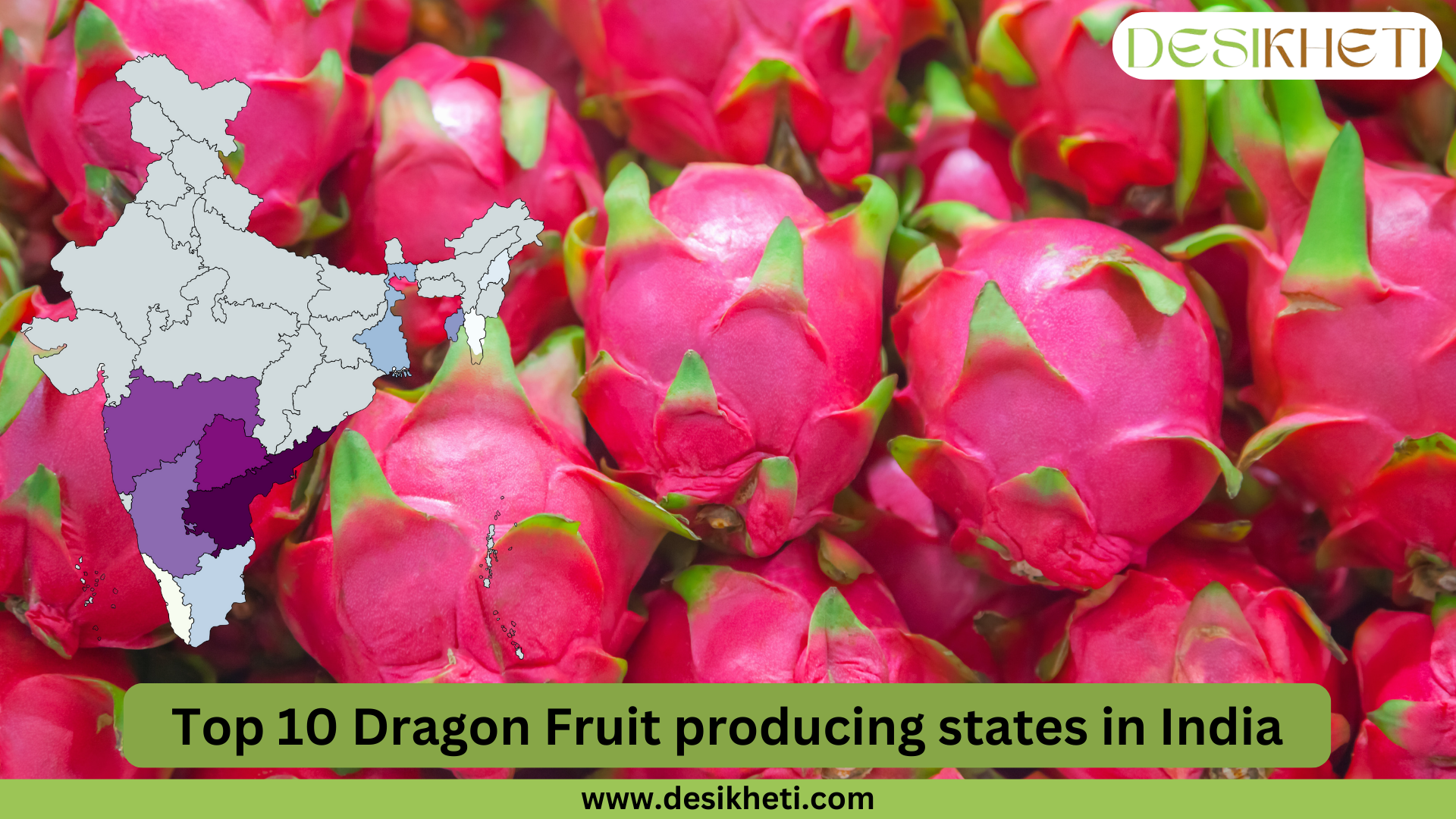 Top 10 dragon fruit-producing states in India. The image features a close-up of fresh, ripe dragon fruits with vibrant pink skin and green-tipped scales. A small map of India is overlaid on the left side, highlighting the top dragon fruit-producing states in different shades of purple. The Desikheti logo is positioned at the top right. At the bottom, a green banner displays the text "Top 10 Dragon Fruit producing states in India," with the website URL "www.desikheti.com" beneath it.