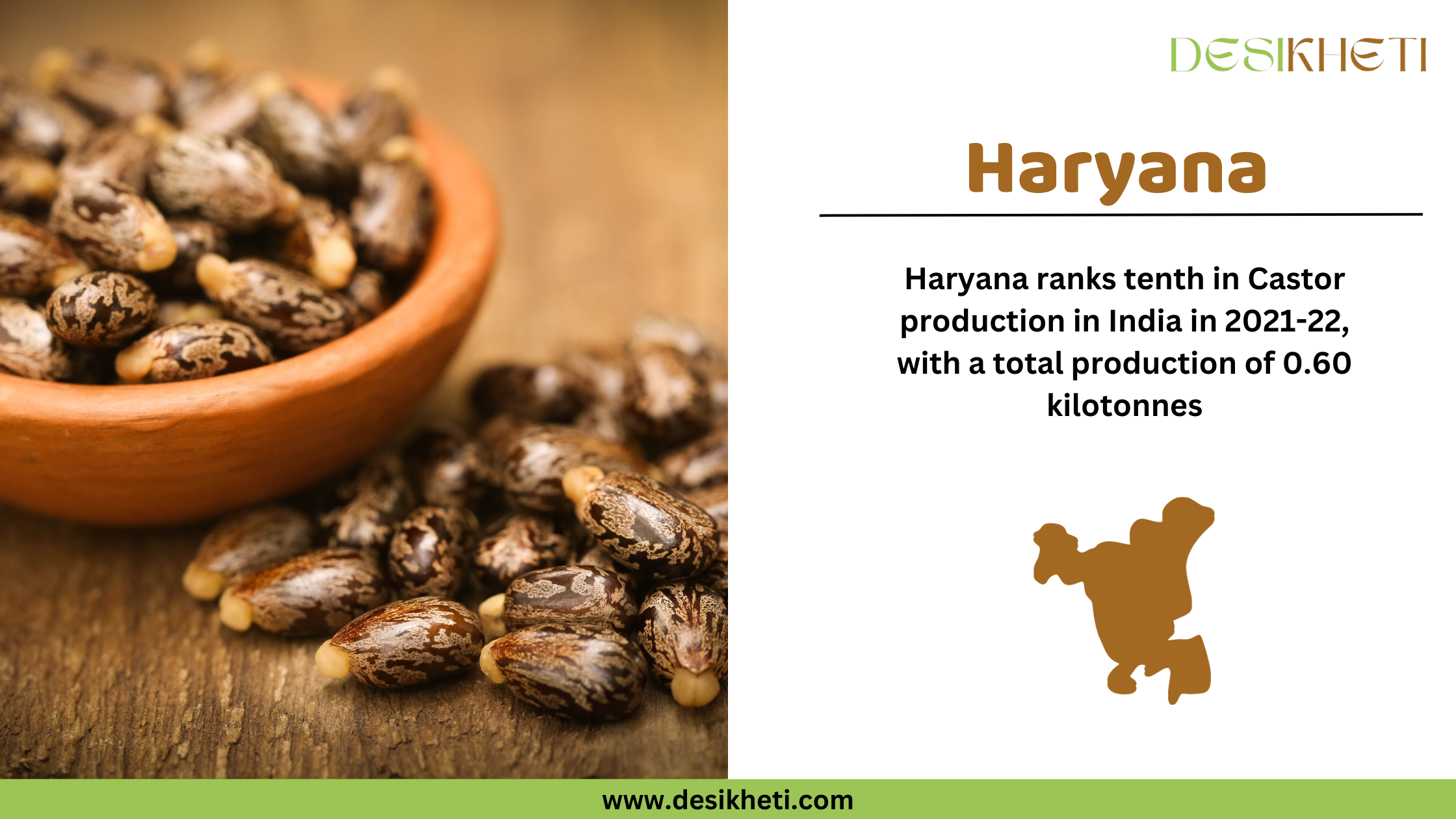 A burlap sack spilling castor seeds onto a wooden surface on the left side of the image. On the right, text states "Haryana" in bold brown letters, followed by "Haryana ranks tenth in Castor production in 2021-22, with a total output of 0.60 kilotonnes." Below the text is a brown silhouette of the state of Haryana. The Desikheti logo is positioned at the top right corner, and the website "www.desikheti.com" is displayed at the bottom with a green background.