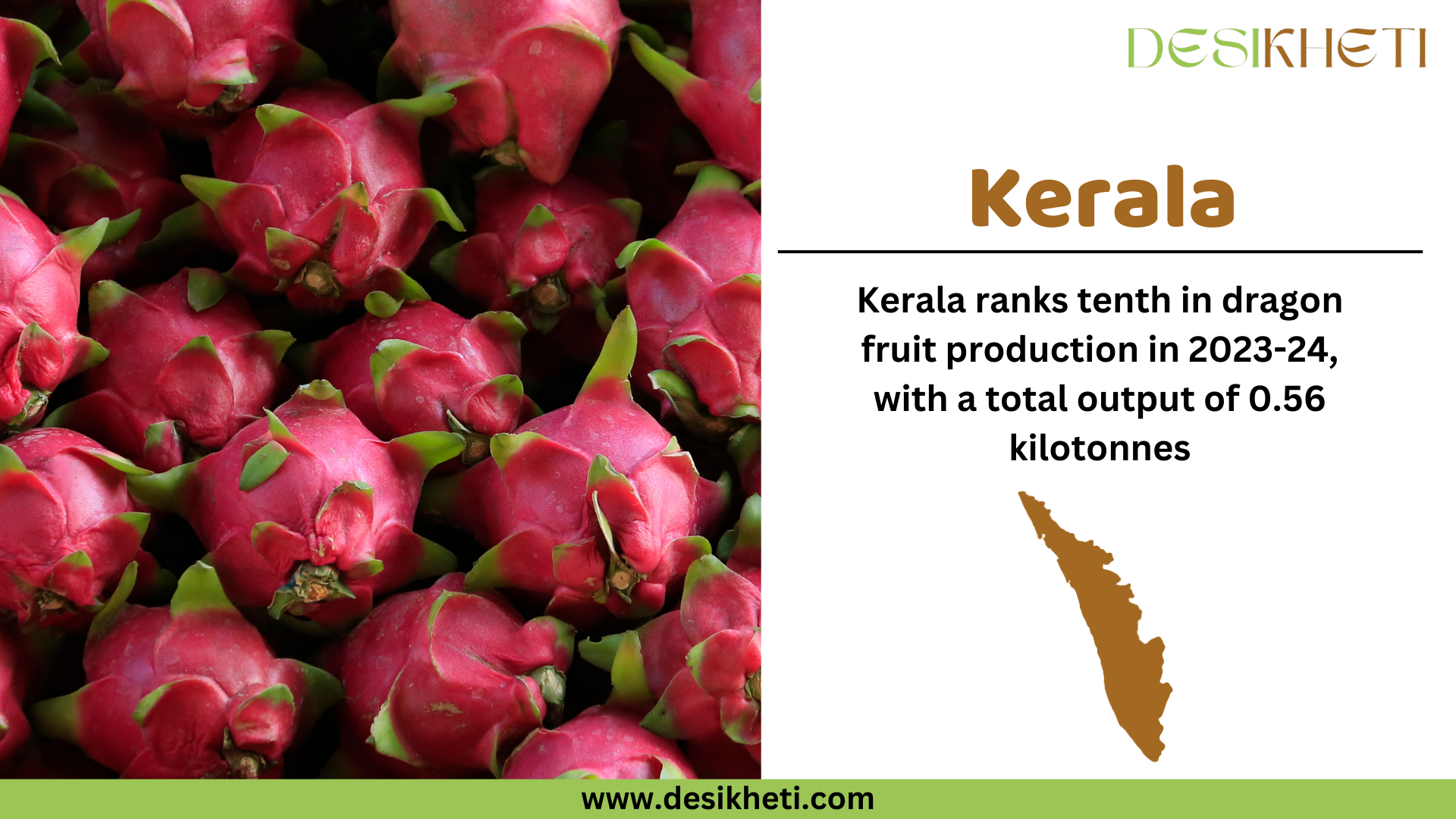 Kerala ranks tenth in dragon fruit production in 2023-24, with a total output of 0.56 kilotonnes. The image features a background of fresh, ripe dragon fruits. On the right side, there is a white panel displaying the text "Kerala" in bold brown letters, followed by production statistics in black text. Below the text, there is a brown silhouette of Kerala’s map. The "Desikheti" logo is positioned at the top right, and the website URL "www.desikheti.com" is displayed at the bottom on a green strip.