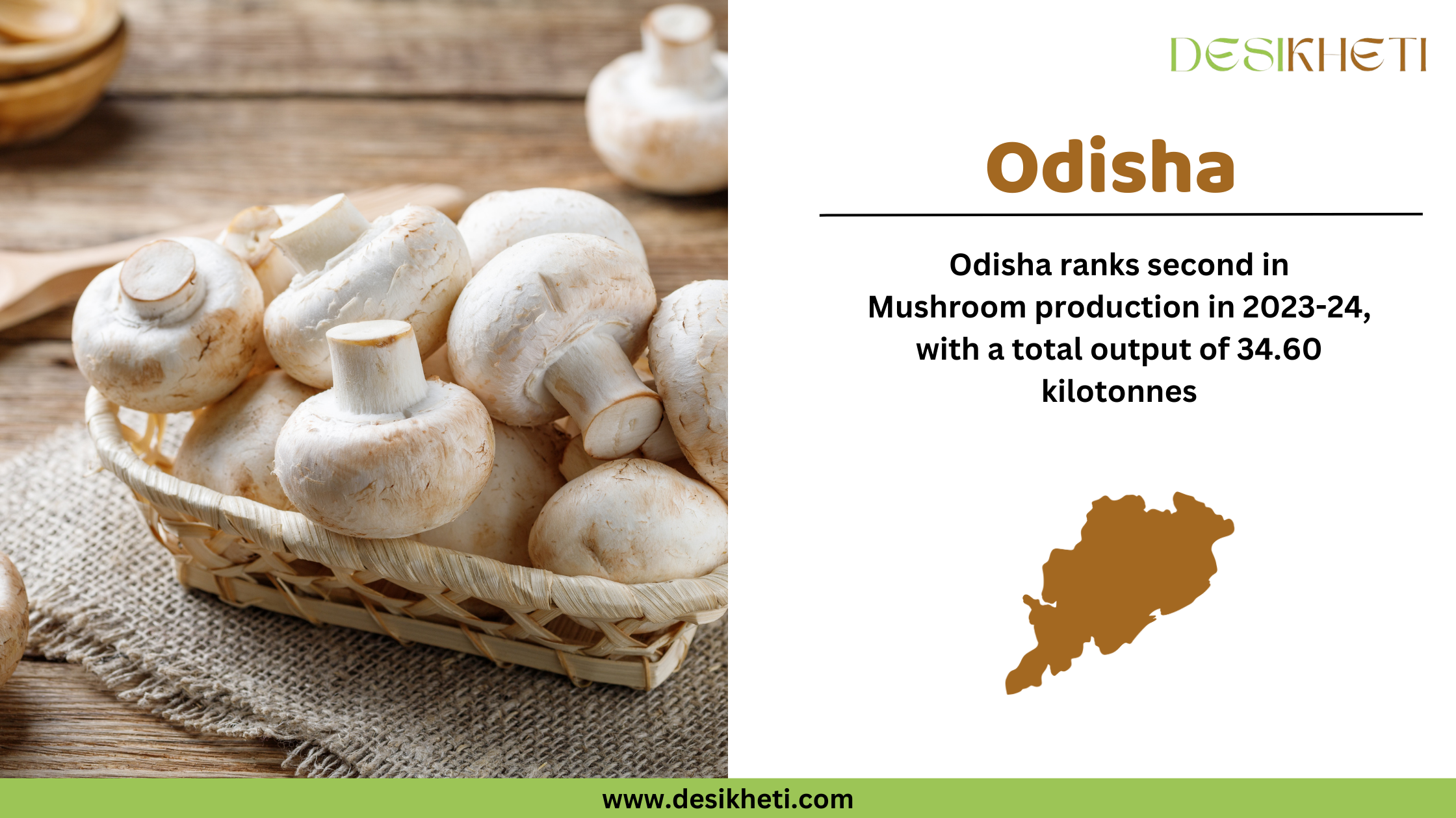 A digital graphic highlighting Odisha's ranking in mushroom production for 2023-24. On the left, a basket filled with fresh white button mushrooms is placed on a rustic wooden surface with a burlap cloth underneath. In the background, wooden bowls and spoons add to the natural aesthetic. On the right side, the text "Odisha" is prominently displayed in bold brown letters. Below, it states that Odisha ranks second in mushroom production with a total output of 34.60 kilotonnes. A brown silhouette map of Odisha is also present. The Desikheti logo is positioned in the top right corner, and the website "www.desikheti.com" is displayed at the bottom on a green banner.