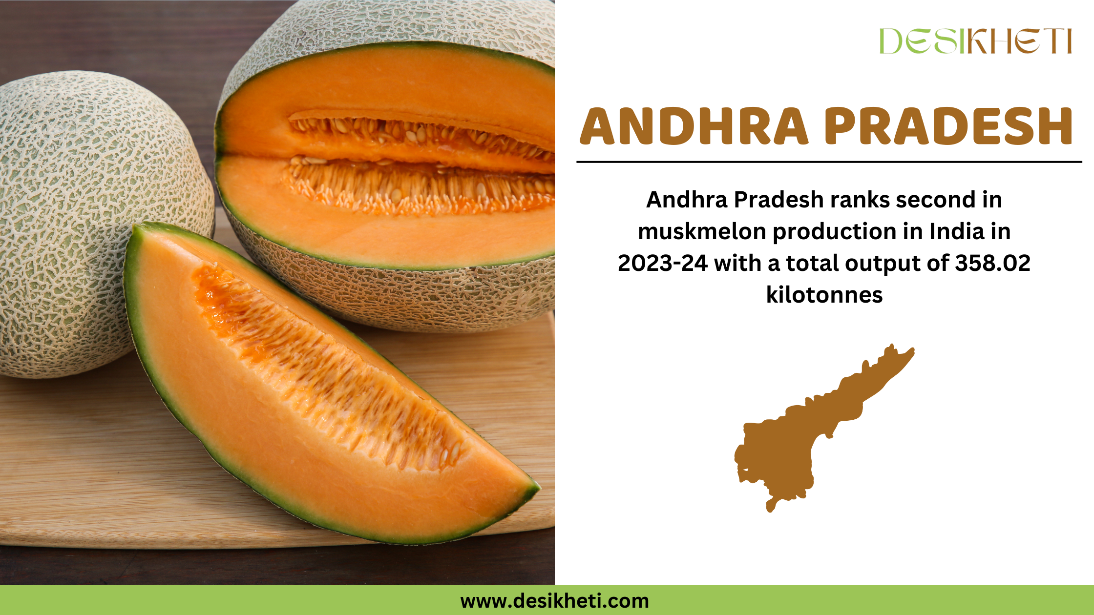  Andhra Pradesh ranks second in muskmelon production in India in 2023-24 with a total output of 358.02 kilotonnes. The image displays whole and sliced muskmelons placed on a wooden cutting board, showcasing their textured outer skin and vibrant orange flesh. On the right side, the text highlights Andhra Pradesh’s ranking and production statistics. Below the text, a brown silhouette of Andhra Pradesh’s map is displayed. The Desikheti logo is positioned at the top right corner, and the website URL "www.desikheti.com" is shown at the bottom.