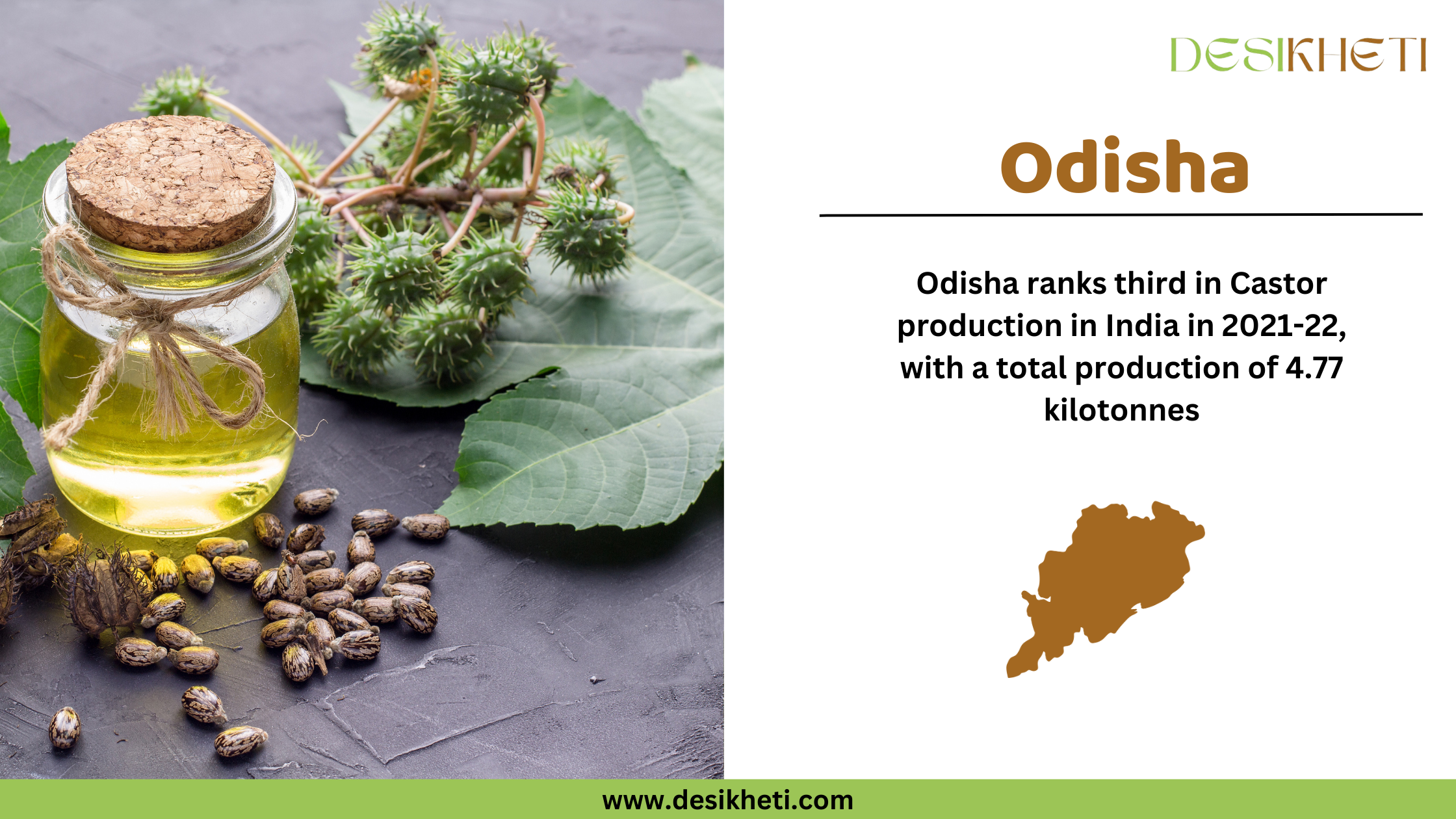 Wooden spoon filled with castor seeds placed on a rustic wooden surface. On the right side, text states "Odisha " in bold brown letters, followed by "Odisha ranks third in Castor production in 2021-22, with a total output of 4.77 kilotonnes." Below the text is a brown silhouette of the state of Odisha . The Desikheti logo is positioned at the top right corner, and the website "www.desikheti.com" is displayed at the bottom with a green background.