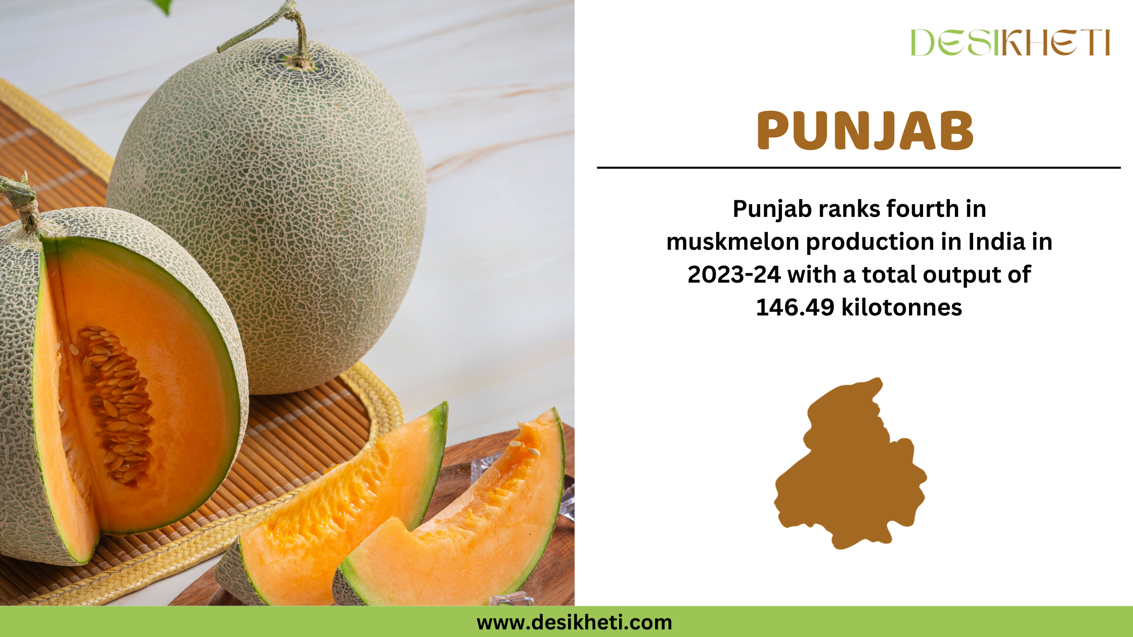 Punjab ranks fourth in muskmelon production in India in 2023-24 with a total output of 146.49 kilotonnes. The image features two whole muskmelons and freshly cut slices placed on a wooden surface with a bamboo mat underneath. The muskmelon has a netted rind and vibrant orange flesh. On the right side, the text highlights Punjab’s ranking and production statistics. Below the text, a brown silhouette of Punjab’s map is displayed. The Desikheti logo is positioned at the top right corner, and the website URL "www.desikheti.com" is shown at the bottom.