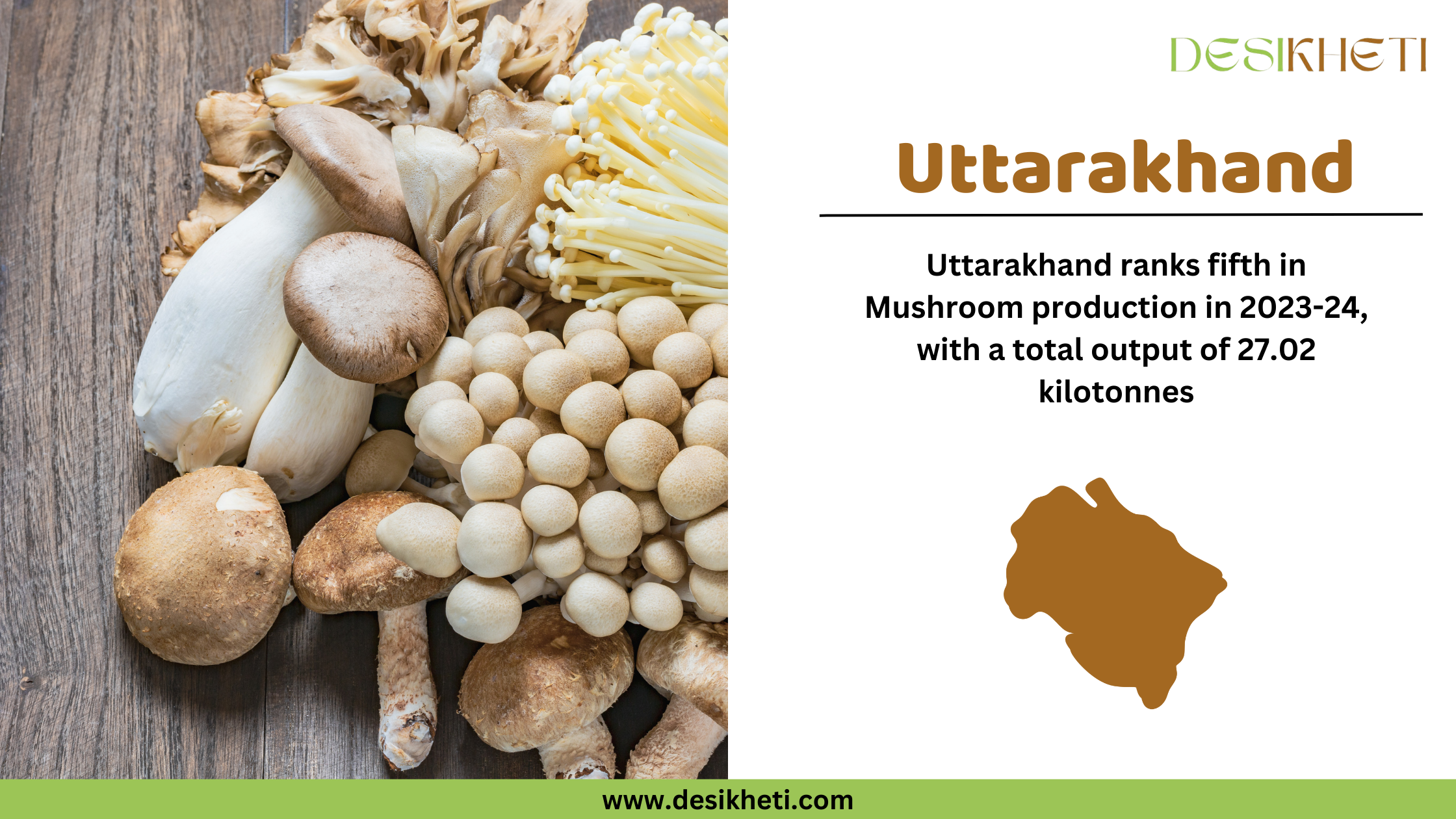 A digital graphic showcasing Uttarakhand's ranking in mushroom production for 2023-24. On the left, a variety of fresh mushrooms, including king oyster, shiitake, enoki, and shimeji, are arranged on a rustic wooden surface, highlighting their diverse textures and colors. On the right side, the text "Uttarakhand" is displayed in bold brown letters. Below, it states that Uttarakhand ranks fifth in mushroom production with a total output of 27.02 kilotonnes. A brown silhouette map of Uttarakhand is included. The Desikheti logo is positioned in the top right corner, and the website "www.desikheti.com" is displayed at the bottom on a green banner.