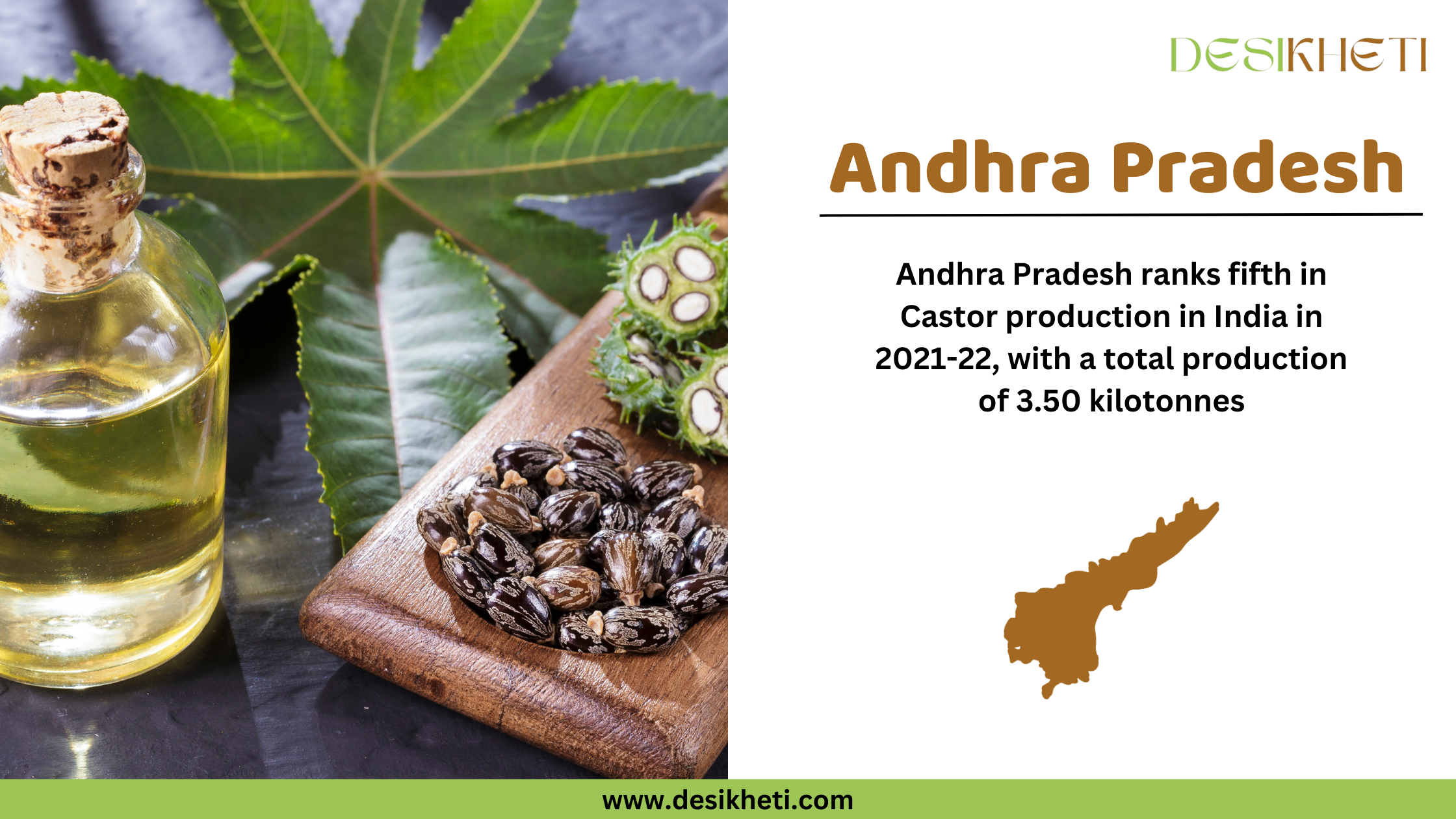 Close-up of castor seeds placed in a wooden bowl on a wooden surface, with additional seeds scattered around. On the right side, text states "Andhra Pradesh" in bold brown letters, followed by "Andhra Pradesh ranks fifth in Castor production in 2021-22, with a total output of 3.50 kilotonnes." Below the text is a brown silhouette of the state of Andhra Pradesh. The Desikheti logo is positioned at the top right corner, and the website "www.desikheti.com" is displayed at the bottom with a green background.