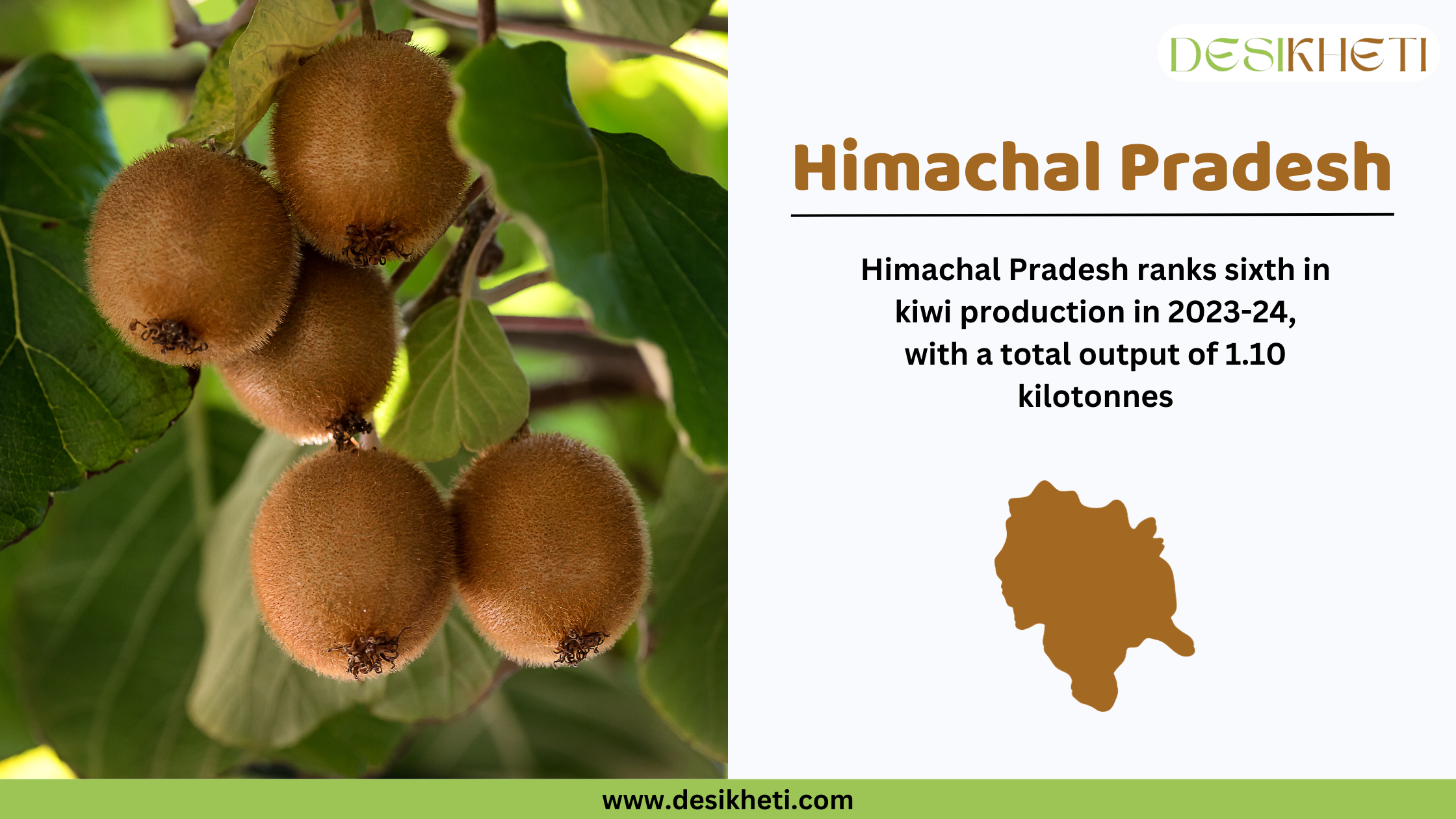 A digital graphic featuring a close-up of ripe kiwi fruits hanging from a vine with green leaves in the background. On the right side, the text reads "Himachal Pradesh" in bold brown letters, followed by "Himachal Pradesh ranks sixth in kiwi production in 2023-24, with a total output of 1.10 kilotonnes." Below the text, there is a brown silhouette of the state of Himachal Pradesh. The Desikheti logo is positioned at the top right, and the website "www.desikheti.com" is displayed at the bottom in a green strip.