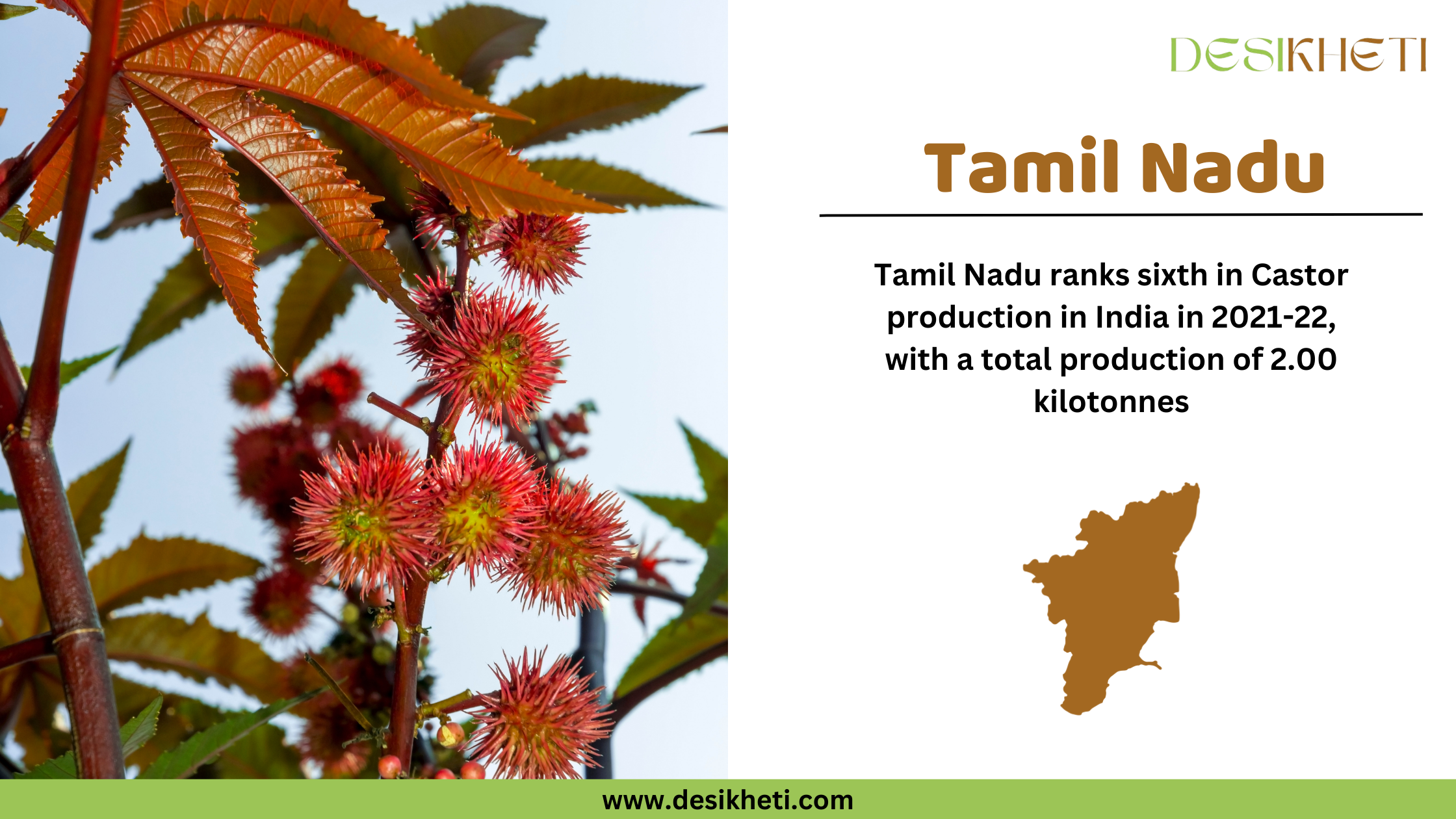 Close-up of castor seeds placed in small wooden bowls on a wooden surface, with additional seeds scattered around. On the right side, text states "Tamil Nadu" in bold brown letters, followed by "Tamil Nadu ranks sixth in Castor production in 2021-22, with a total output of 2.00 kilotonnes." Below the text is a brown silhouette of the state of Tamil Nadu. The Desikheti logo is positioned at the top right corner, and the website "www.desikheti.com" is displayed at the bottom with a green background.