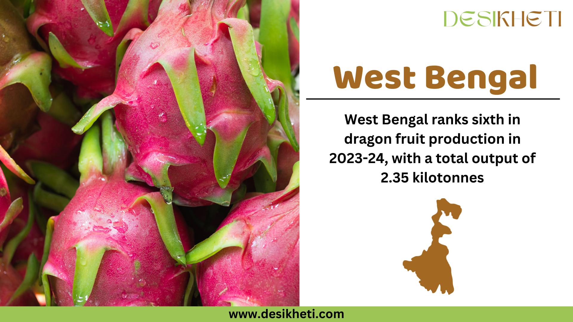 West Bengal ranks sixth in dragon fruit production in 2023-24, with a total output of 2.35 kilotonnes. The image showcases fresh dragon fruits with bright pink skin and green-tipped scales, covered in water droplets. On the right side, a white panel displays bold brown text "West Bengal," followed by production details in black text. Below the text, a brown silhouette of West Bengal’s map is shown. The "Desikheti" logo is positioned at the top right, and the website URL "www.desikheti.com" is displayed at the bottom on a green strip.