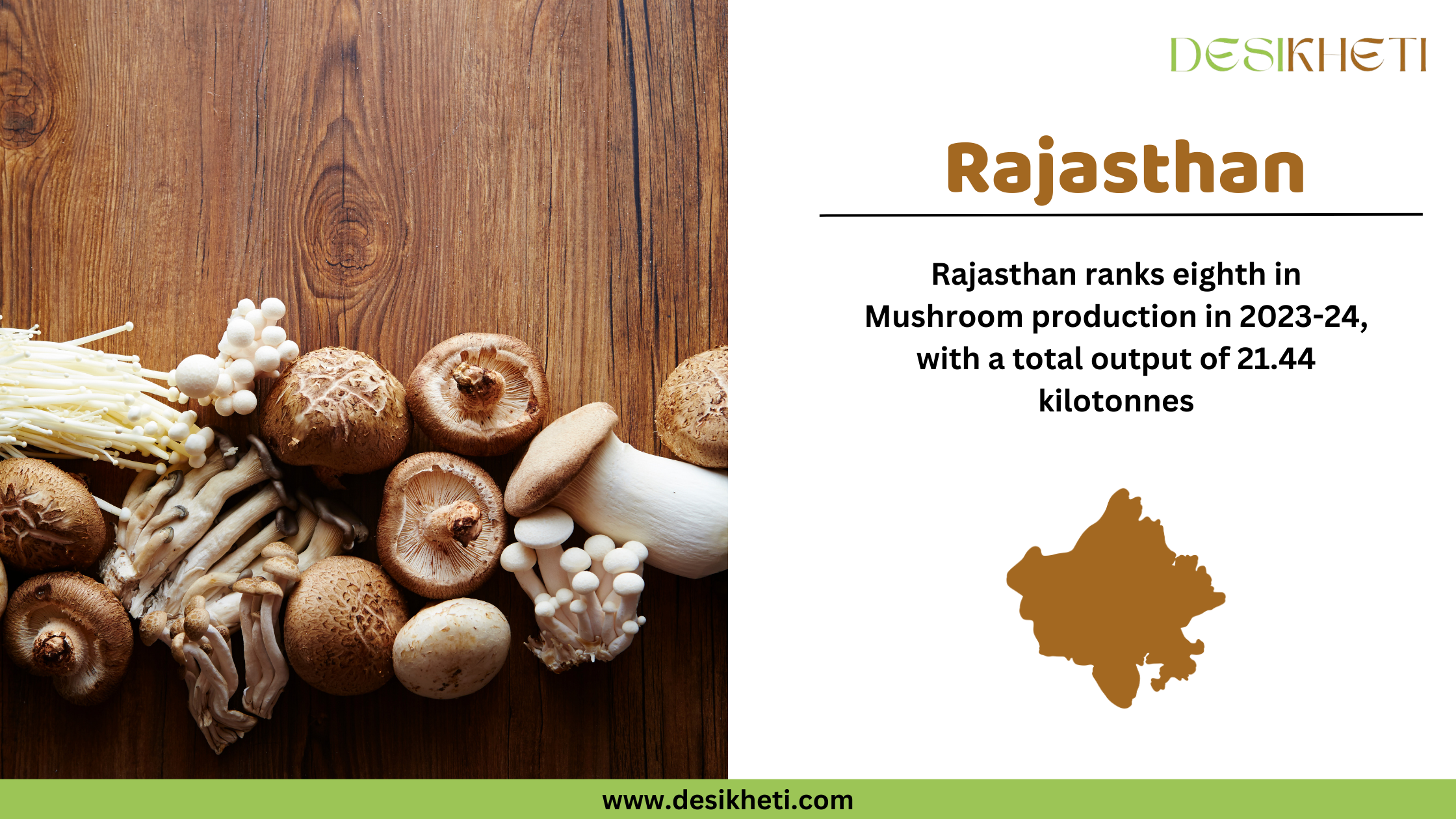  A digital graphic displaying Rajasthan's ranking in mushroom production for 2023-24. The left side features an assortment of mushrooms, including enoki, shiitake, and button mushrooms, placed on a wooden surface. On the right side, the text "Rajasthan" is highlighted in bold brown letters. Below, it states that Rajasthan ranks eighth in mushroom production with a total output of 21.44 kilotonnes. A brown silhouette map of Rajasthan is also included. The Desikheti logo appears in the top right corner, and the website "www.desikheti.com" is displayed at the bottom on a green banner.