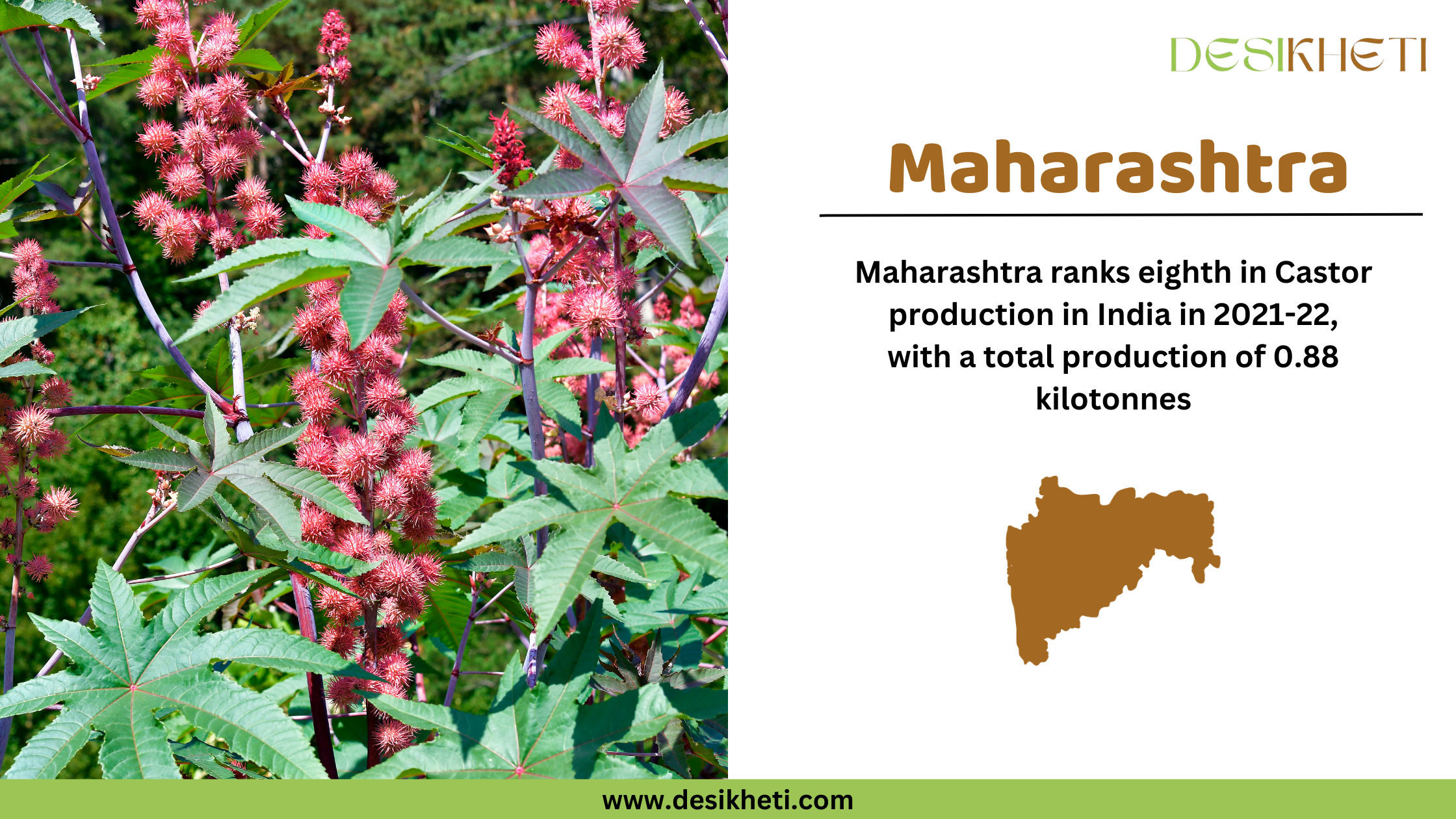 Close-up of castor seeds in a wooden spoon and a bowl on the left side of the image. On the right, text states "Maharashtra" in bold brown letters, followed by "Maharashtra ranks eighth in Castor production in 2021-22, with a total output of 0.88 kilotonnes." Below the text is a brown silhouette of the state of Maharashtra. The Desikheti logo is positioned at the top right corner, and the website "www.desikheti.com" is displayed at the bottom with a green background.