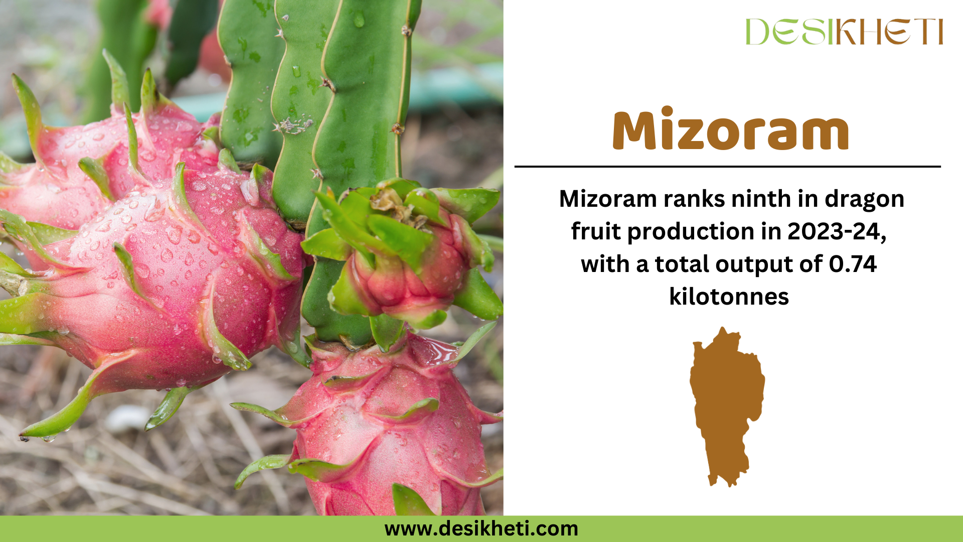 Mizoram ranks ninth in dragon fruit production in 2023-24, with a total output of 0.74 kilotonnes. The image features a close-up of ripe dragon fruits still attached to the cactus plant, covered in water droplets. On the right side, there is a white panel displaying the text "Mizoram" in bold brown letters, followed by production statistics in black text. Below the text, there is a brown silhouette of Mizoram’s map. The "Desikheti" logo is positioned at the top right, and the website URL "www.desikheti.com" is displayed at the bottom on a green strip.