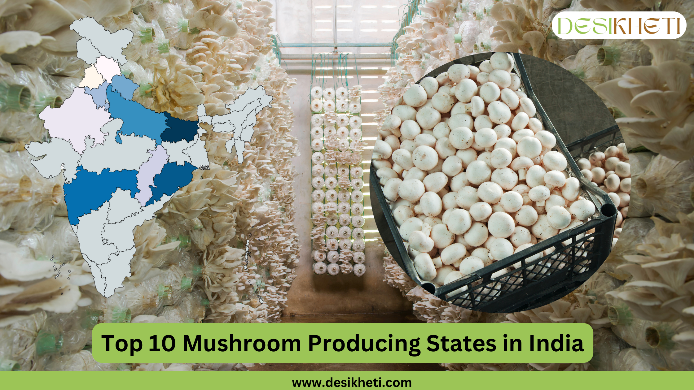 A color-coded map of India highlighting the top 10 mushroom-producing states. The legend on the left lists the states: Bihar, Odisha, Maharashtra, Uttar Pradesh, Uttarakhand, Haryana, Chhattisgarh, Rajasthan, Himachal Pradesh, and Punjab, each represented by a different color. The Desikheti logo is displayed at the top right. The title "Top 10 Mushroom Producing States in India" is written at the top left.