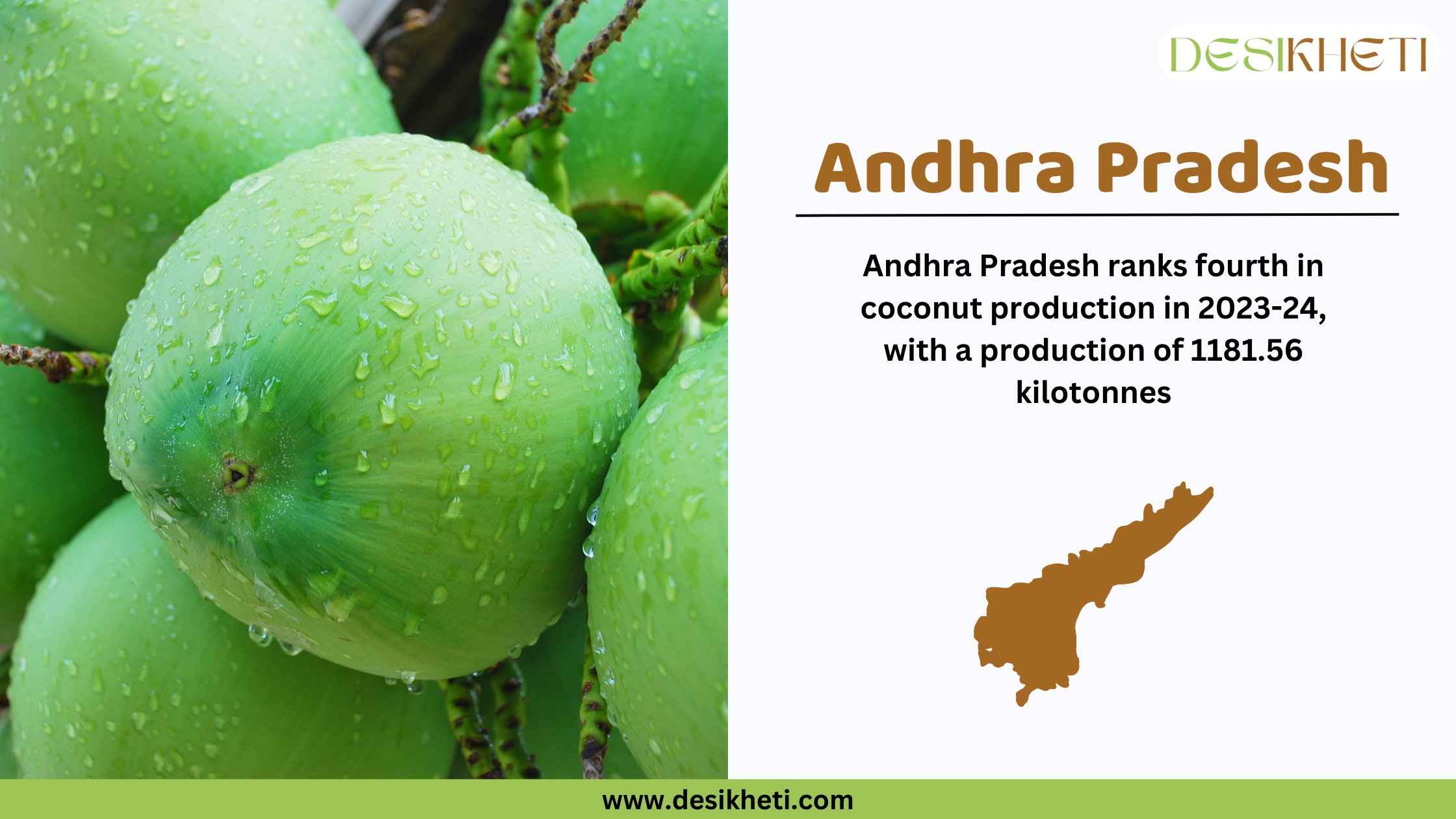 Andhra Pradesh ranks fourth in coconut production in India for 2023-24, with a total output of 1181.56 kilotonnes. The image features a close-up of fresh green coconuts with water droplets on them. On the right side, the text highlights Andhra Pradesh’s ranking along with a brown silhouette map of the state. The Desikheti logo is positioned at the top right, and the website www.desikheti.com is displayed at the bottom.