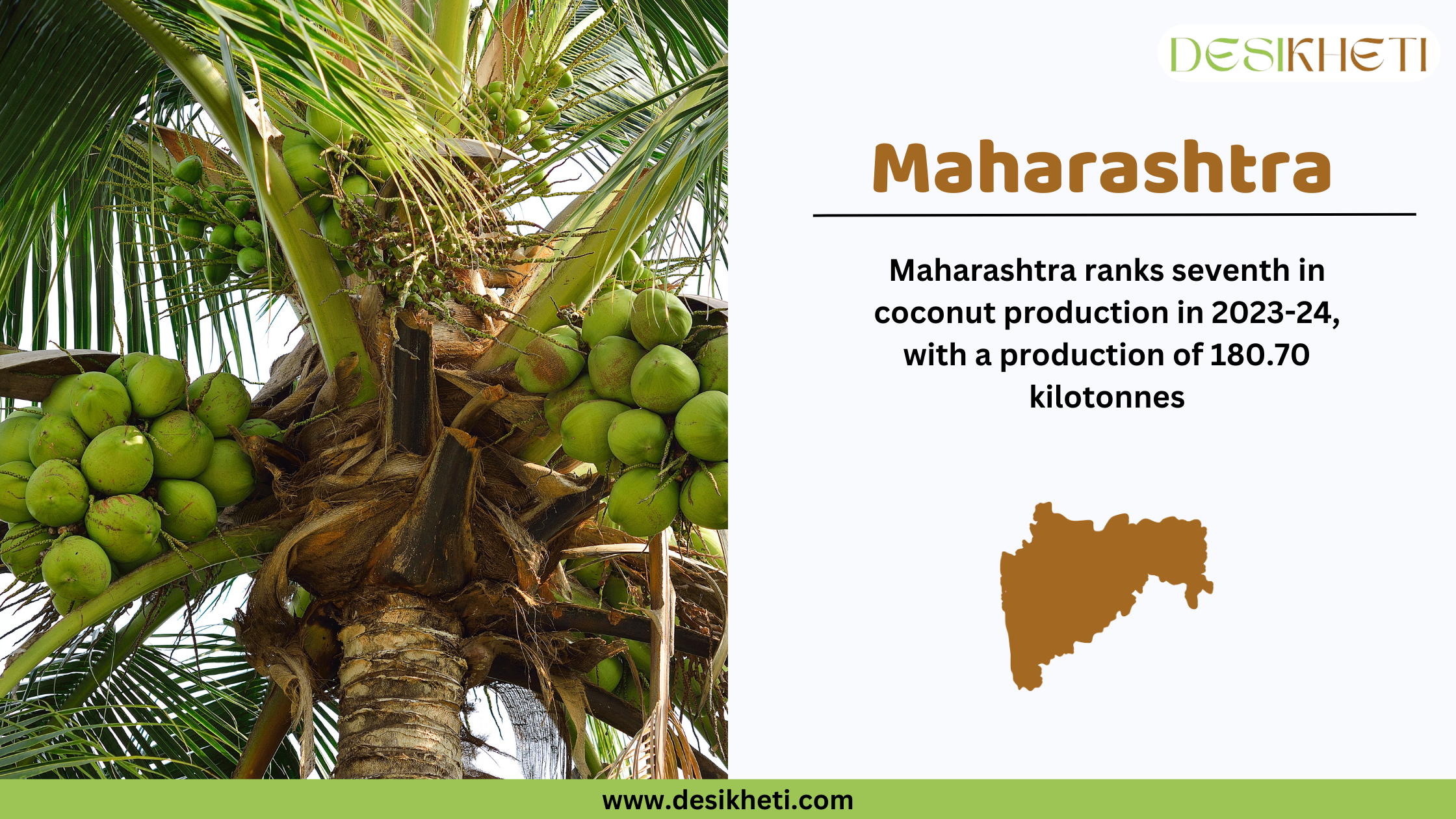 Maharashtra ranks seventh in coconut production in India for 2023-24, with a total output of 180.70 kilotonnes. The image features a coconut tree with multiple clusters of green coconuts against a bright background. On the right side, text highlights Maharashtra’s ranking along with a brown silhouette map of the state. The Desikheti logo is positioned at the top right, and the website www.desikheti.com is displayed at the bottom.