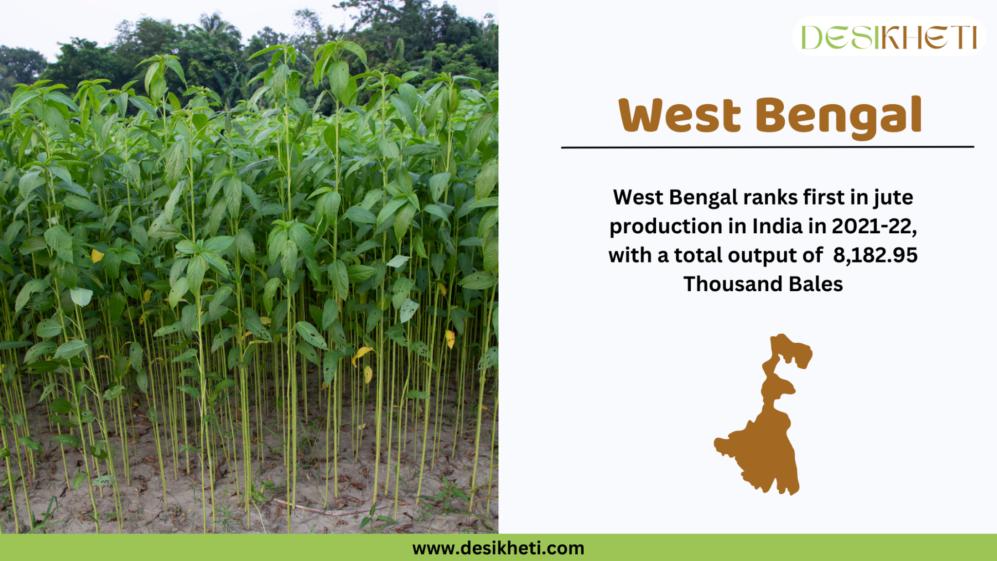 Top 7 Jute Producing States in India - DesiKheti