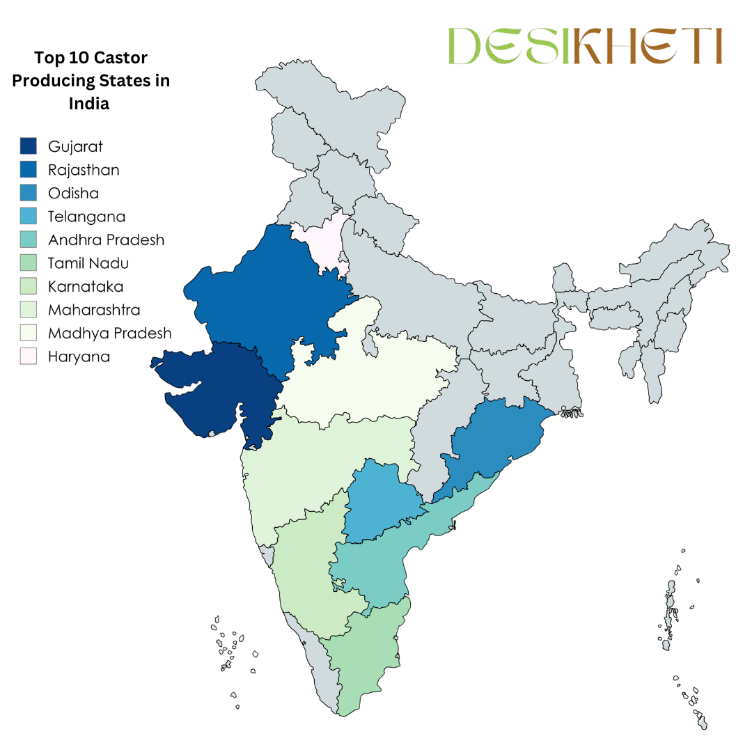 A digital map highlighting the top 10 castor-producing states in India, with each state marked in different shades of red, orange, and beige to indicate production levels. The title "Top 10 Castor Producing States in India" is positioned in the top left corner. A legend on the left lists the highlighted states: Haryana, Telangana, Tamil Nadu, Arunachal Pradesh, West Bengal, Maharashtra, Nagaland, Meghalaya, Karnataka, and Bihar. The Desikheti logo is placed at the top right corner.