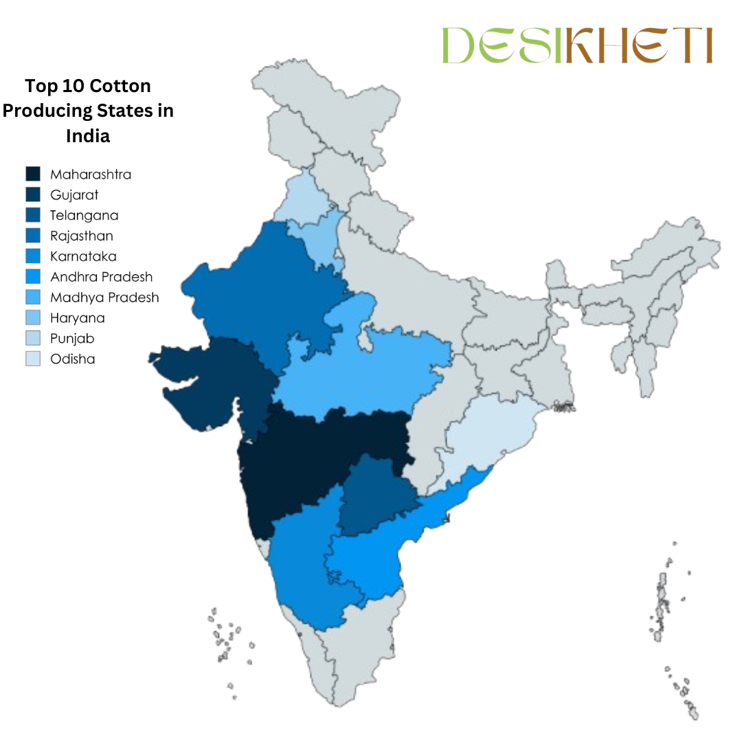 Top 10 cotton-producing states in India Top 10 cotton-producing states in India. The image features a close-up of cotton plants with fluffy white cotton bolls in a field. On the left side, there is a color-coded map of India highlighting the top cotton-producing states in different shades of blue. The Desikheti logo is placed at the top right, and the website URL www.desikheti.com is displayed at the bottom. The text "Top 10 Cotton Producing States in India" is prominently highlighted on a green banner.
