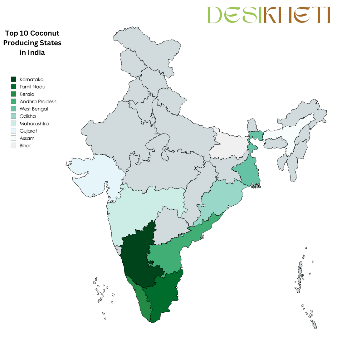 Top 10 coconut-producing states in India. A map of India highlights the leading coconut-producing states in different shades of green, with Karnataka, Tamil Nadu, and Kerala shown in the darkest shades, indicating the highest production. The legend on the left lists the top-producing states: Karnataka, Tamil Nadu, Kerala, Andhra Pradesh, West Bengal, Odisha, Maharashtra, Gujarat, Assam, and Bihar. The Desikheti logo is positioned at the top right.