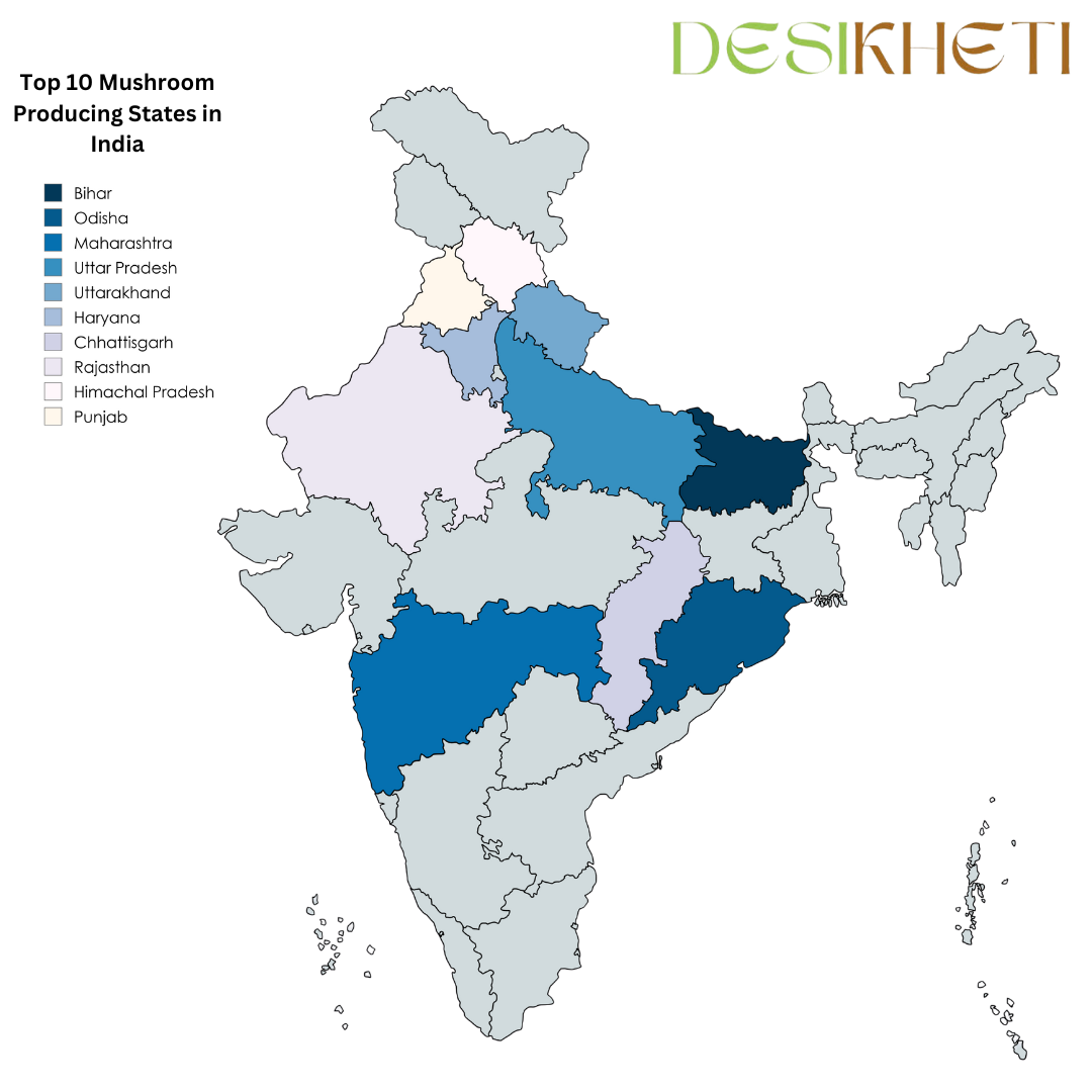  A color-coded map of India highlighting the top 10 mushroom-producing states. The legend on the left lists the states: Bihar, Odisha, Maharashtra, Uttar Pradesh, Uttarakhand, Haryana, Chhattisgarh, Rajasthan, Himachal Pradesh, and Punjab, each represented by a different color. The Desikheti logo is displayed at the top right. The title "Top 10 Mushroom Producing States in India" is written at the top left.