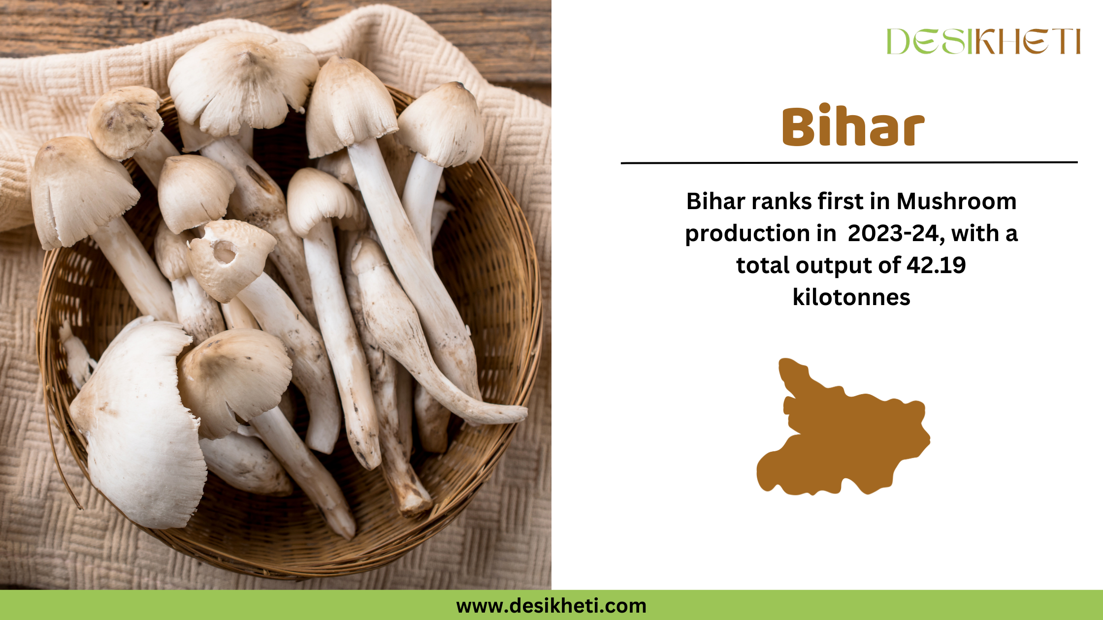 A digital graphic showcasing Bihar's leading position in mushroom production for 2023-24. On the left, several fresh wild mushrooms with earthy tones and visible gills are arranged on a rustic wooden surface. On the right, the text "Bihar" is prominently displayed in bold brown letters. Below, it states that Bihar ranks first in mushroom production with a total output of 42.19 kilotonnes. A brown silhouette map of Bihar is also present. The Desikheti logo is positioned in the top right corner, and the website "www.desikheti.com" is displayed at the bottom on a green banner.