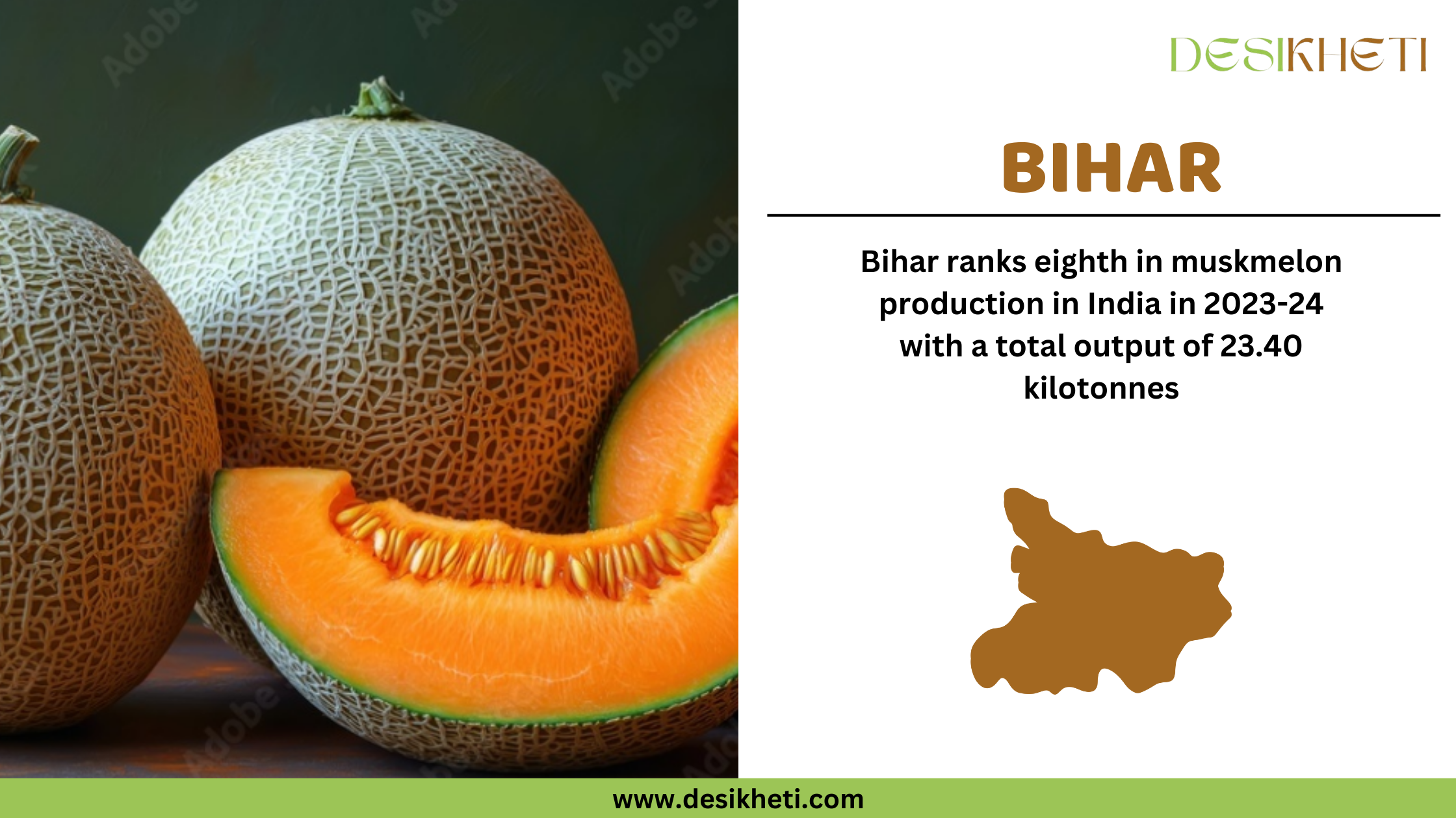 Bihar ranks eighth in muskmelon production in India in 2023-24 with a total output of 23.40 kilotonnes. The image features two whole muskmelons with a netted rind and a sliced muskmelon with vibrant orange flesh placed in the foreground. On the right side, the text highlights Bihar’s ranking and production statistics. A brown silhouette of Bihar's map is displayed below the text. The Desikheti logo is positioned at the top right corner, and the website URL "www.desikheti.com" is shown at the bottom.