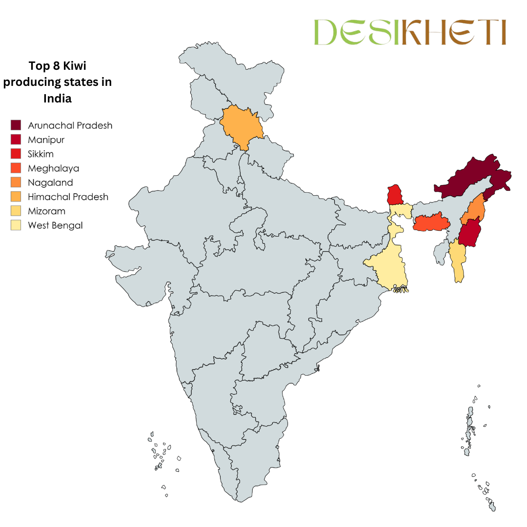  A map of India highlighting the top 8 kiwi-producing states with different shades of purple and blue. The states include Arunachal Pradesh, Manipur, Sikkim, Meghalaya, Nagaland, Himachal Pradesh, Mizoram, and West Bengal. The title "Top 8 Kiwi Producing States in India" is displayed on the top left, and the Desikheti logo is positioned on the top right.