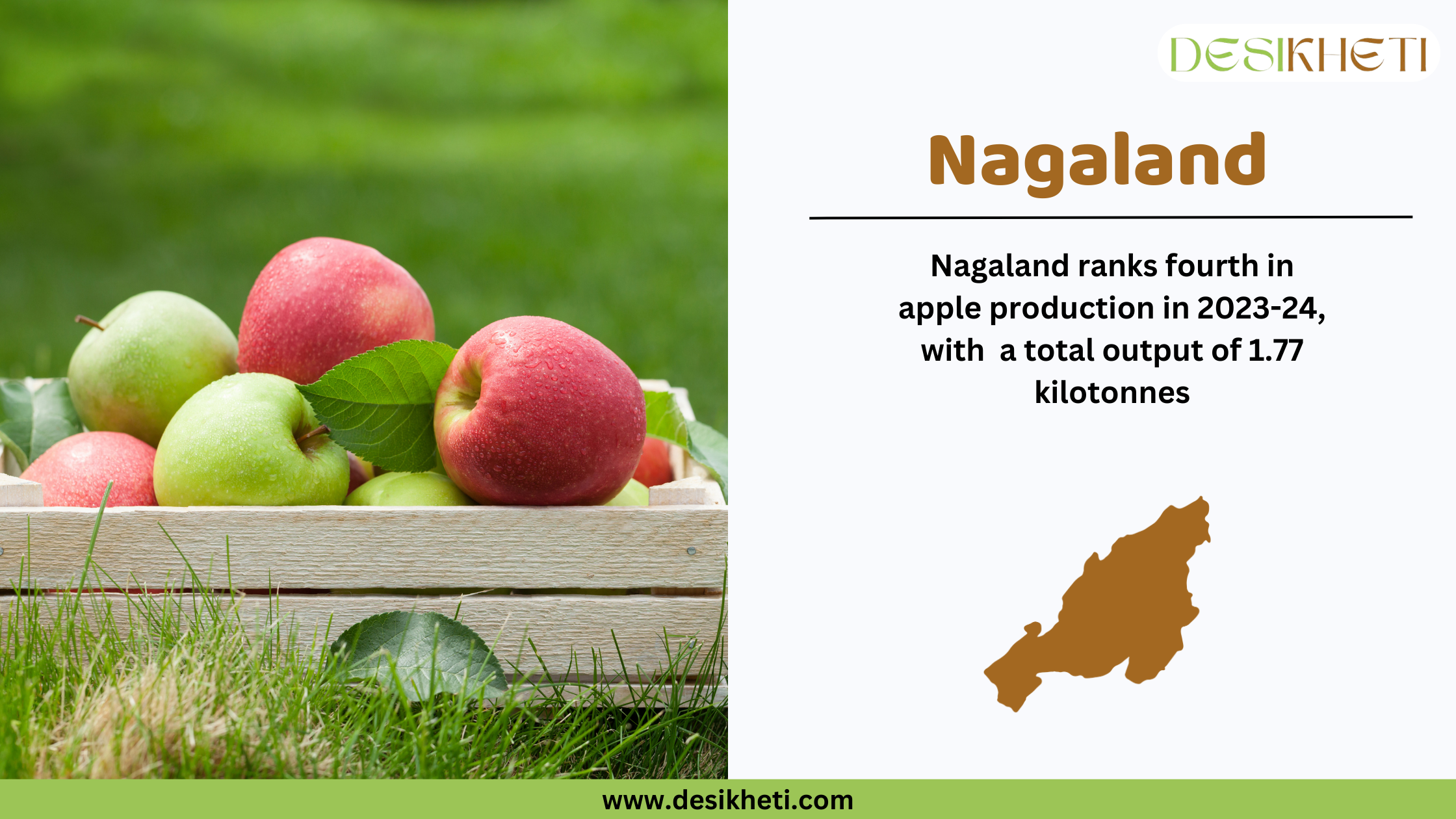 A promotional graphic highlighting Nagaland as the fourth-largest apple-producing state in India for 2023-24, with a total output of 1.77 kilotonnes. The left side of the image features a wooden crate filled with fresh red and green apples placed on green grass. The right side displays the heading "Nagaland" in bold brown font, followed by text stating its apple production rank and output. Below the text is a brown silhouette of Nagaland’s map. The Desikheti logo is positioned in the top right corner, and the website URL "www.desikheti.com" is displayed at the bottom on a green strip.