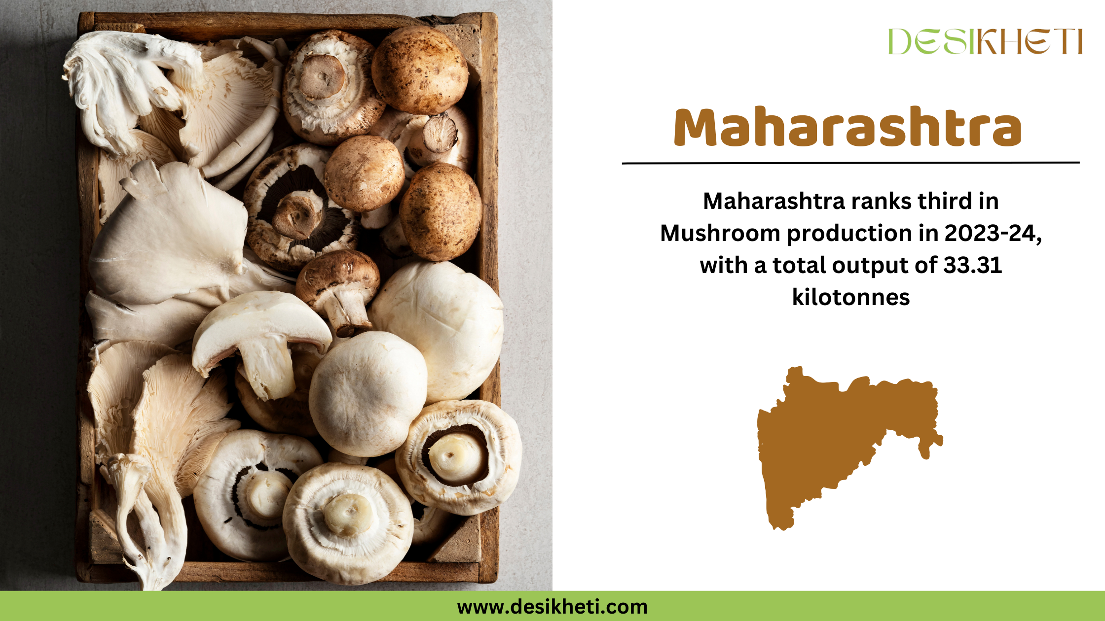  A digital graphic showcasing Maharashtra's ranking in mushroom production for 2023-24. On the left, a cluster of fresh, orange-brown mushrooms grows on a moss-covered log with a blurred green background. On the right side, the text "Maharashtra" is prominently displayed in bold brown letters. Below, it states that Maharashtra ranks third in mushroom production with a total output of 33.31 kilotonnes. A brown silhouette map of Maharashtra is also present. The Desikheti logo is positioned in the top right corner, and the website "www.desikheti.com" is displayed at the bottom on a green banner.