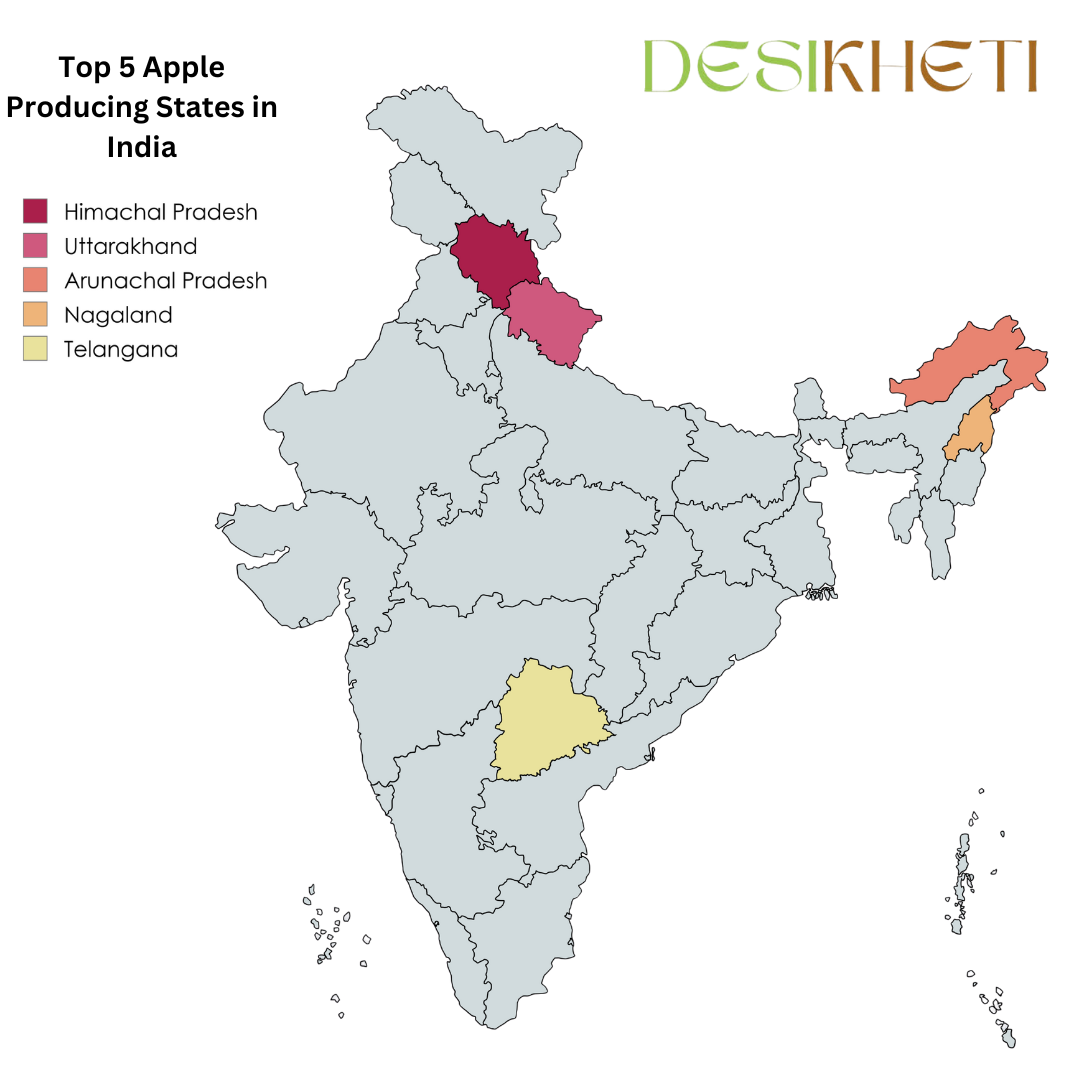 A map of India highlighting the top 5 apple-producing states: Himachal Pradesh (dark red), Uttarakhand (pink), Arunachal Pradesh (orange), Nagaland (light orange), and Telangana (yellow). The title "Top 5 Apple Producing States in India" is written in black on the top left, and the Desikheti logo is positioned at the top right. The rest of the Indian states are shown in grey for contrast.