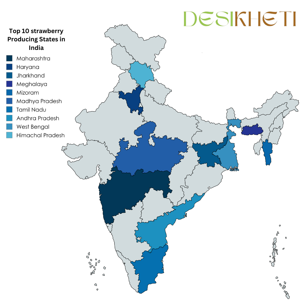 A map of India highlighting the top 10 strawberry-producing states in different shades of blue. The states include Maharashtra, Haryana, Jharkhand, Meghalaya, Mizoram, Madhya Pradesh, Tamil Nadu, Andhra Pradesh, West Bengal, and Himachal Pradesh. A legend on the left lists these states with corresponding colors. The Desikheti logo is positioned in the top right corner.