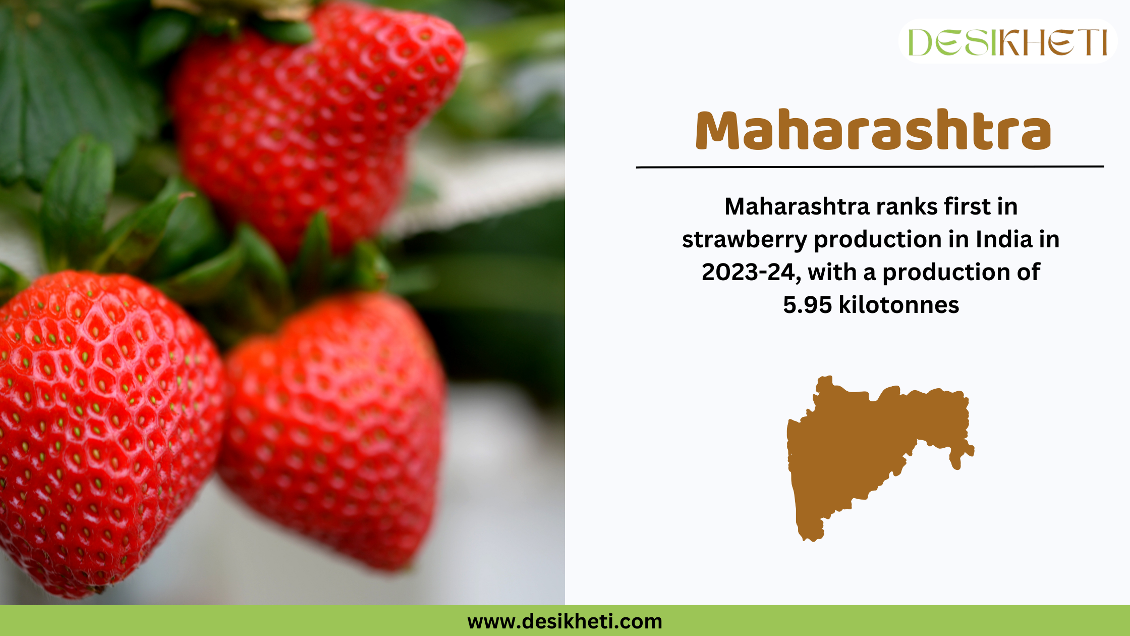 Close-up of ripe red strawberries growing on a plant with green leaves in the background. On the right side, text states that Maharashtra ranks first in strawberry production in India for 2023-24, with a production of 5.95 kilotonnes. A brown silhouette of Maharashtra is displayed below the text. The Desikheti logo is in the top right corner, and the website URL www.desikheti.com is at the bottom.