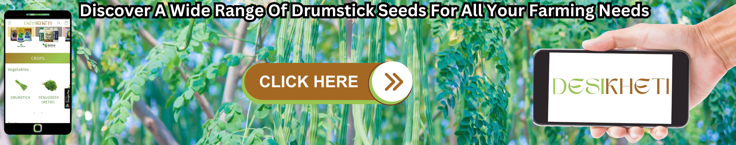 Discover A Wide Range Of Drumstick Seeds For All Your Farming Needs A banner advertisement with the text "Discover A Wide Range Of Drumstick Seeds For All Your Farming Needs" at the top. The background features a blurred view of drumstick (Moringa oleifera) trees with their characteristic long, slender pods and green leaves. On the left, a smartphone displays a mobile app interface with various icons, including what appears to be a drumstick icon. A hand on the right holds a tablet-like device displaying the "DESIKHETI" logo. A "CLICK HERE" button with an arrow pointing right is superimposed on the drumstick tree image. Given the current location of Hyderabad, Telangana, India, drumstick is a commonly cultivated plant, so this advertisement likely targets farmers in that region.