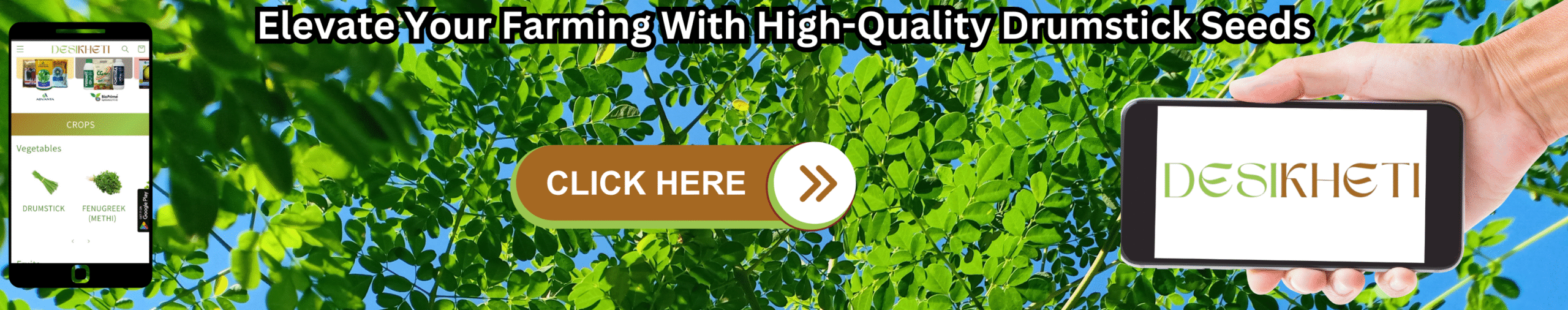 Elevate Your Farming With High-Quality Drumstick Seeds A banner advertisement with the text "Elevate Your Farming With High-Quality Drumstick Seeds" at the top. The background features a slightly blurred view looking up into the canopy of a drumstick (Moringa oleifera) tree with green leaves and blue sky visible through the branches. On the left, a smartphone displays a mobile app interface with various icons, including what appears to be a drumstick icon. A hand on the right holds a tablet-like device displaying the "DESIKHETI" logo. A "CLICK HERE" button with an arrow pointing right is superimposed on the tree image. Given the current location of Hyderabad, Telangana, India, drumstick is a commonly cultivated plant, so this advertisement likely targets farmers in that region interested in high-quality seeds.