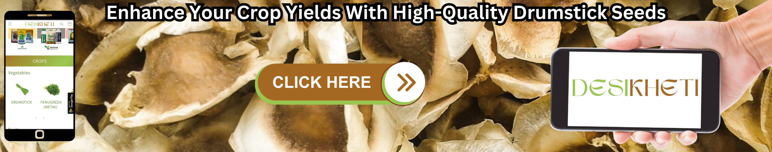 Enhance Your Crop Yields With High-Quality Drumstick Seeds A banner advertisement with the text "Enhance Your Crop Yields With High-Quality Drumstick Seeds" at the top. The background features a close-up shot of what appear to be dried drumstick (Moringa oleifera) seeds or possibly cross-sections of the pods, showing the seeds inside. On the left, a smartphone displays a mobile app interface with various icons, including what appears to be a drumstick icon. A hand on the right holds a tablet-like device displaying the "DESIKHETI" logo. A "CLICK HERE" button with an arrow pointing right is superimposed on the drumstick seed/pod image. Given the current location of Hyderabad, Telangana, India, drumstick is a commonly cultivated plant, so this advertisement likely targets farmers in that region interested in high-quality seeds.