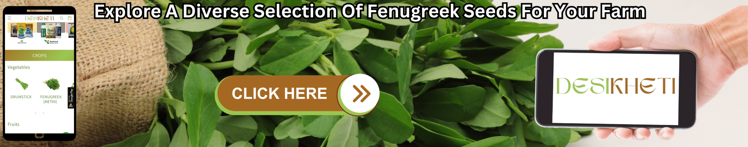 Explore A Diverse Selection Of Fenugreek Seeds For Your Farm A banner advertisement with the text "Explore A Diverse Selection Of Fenugreek Seeds For Your Farm" at the top. The background features a close-up shot of fresh, green fenugreek (methi) leaves and stems. On the left, a smartphone displays a mobile app interface with various icons, including what appears to be a fenugreek plant icon. A hand on the right holds a tablet-like device displaying the "DESIKHETI" logo. A "CLICK HERE" button with an arrow pointing right is superimposed on the fenugreek plant image. Given the current location of Hyderabad, Telangana, India, where fenugreek is a common leafy vegetable and herb, this advertisement likely targets farmers in that region.