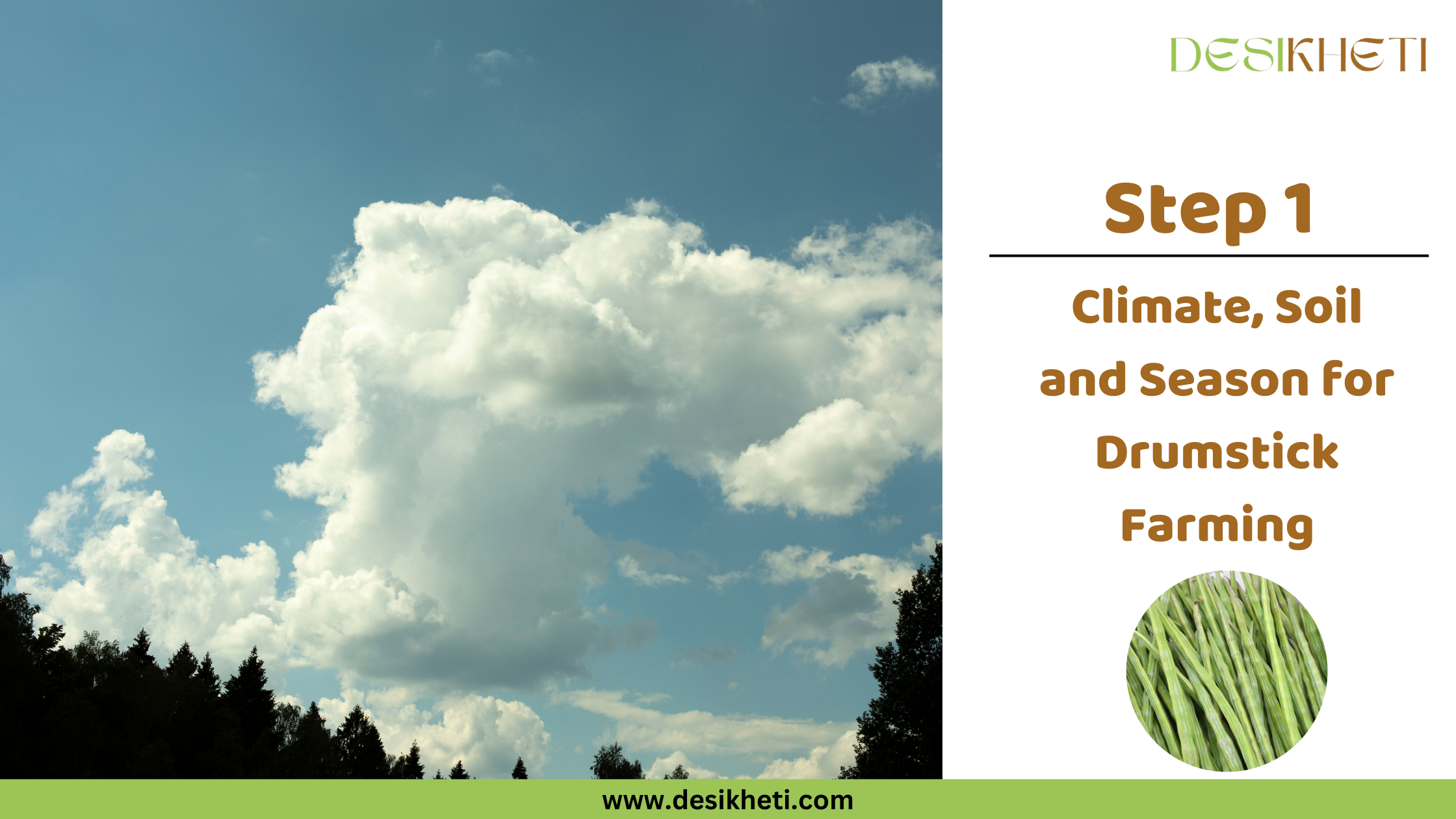 Step 1 Climate, Soil and Season for Drumstick Farming A partly cloudy sky with patches of bright blue and large, fluffy white clouds is visible above a line of dark green trees along the horizon. To the right, text reads "Step 1 Climate, Soil and Season for Drumstick Farming" along with a small circular inset image showing a bundle of long, slender green drumsticks. The "DESIKHETI" logo is in the top right corner, and the website address "www.desikheti.com" is at the bottom. Given the current location of Hyderabad, Telangana, India, where drumstick is a common crop, this image likely illustrates the weather conditions suitable for drumstick farming in that region.