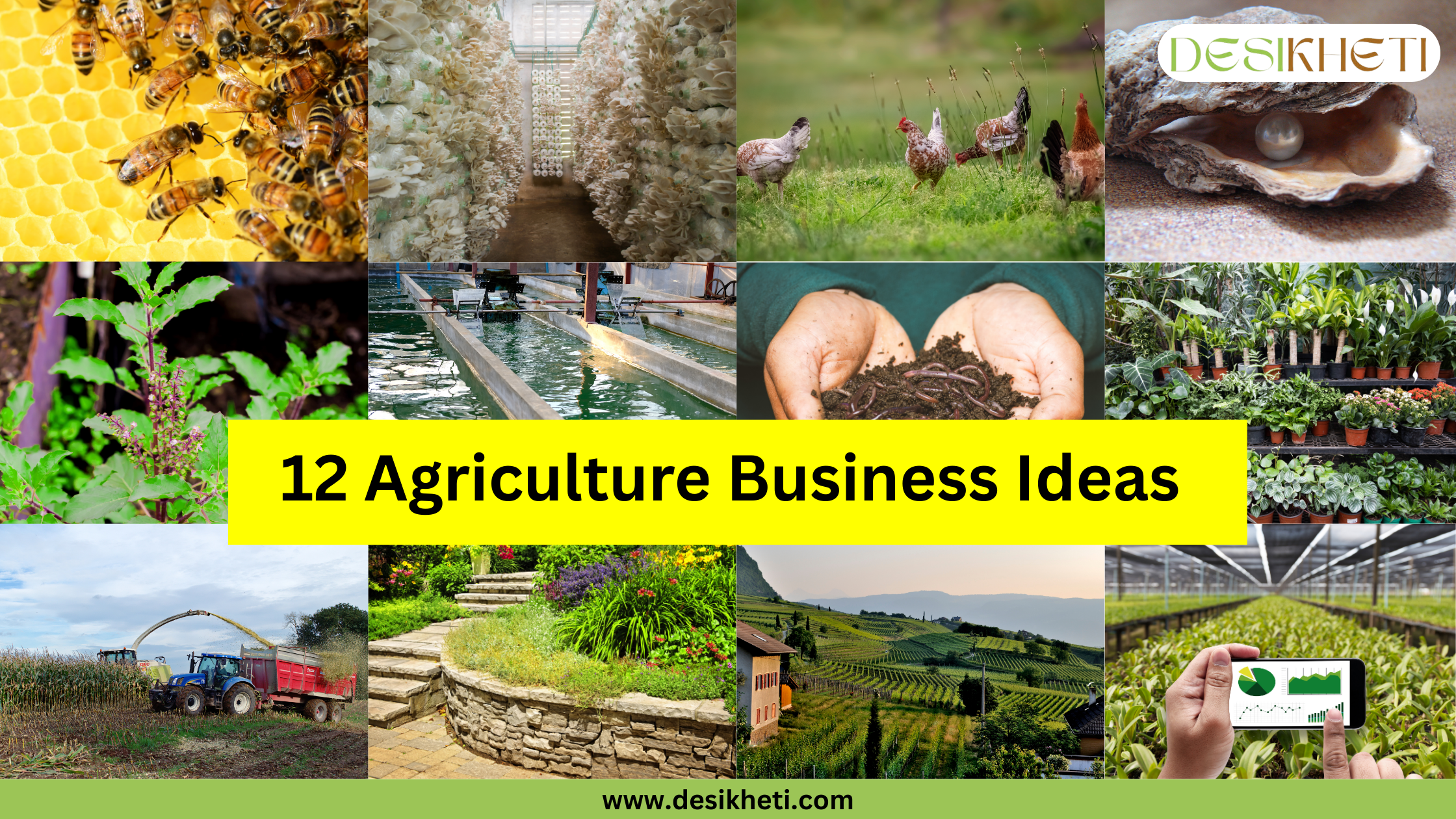 A grid of twelve diverse agricultural images is displayed above a bright yellow banner with the text "12 Agriculture Business Ideas". The top row features, from left to right: a honeycomb teeming with bees, a long indoor space filled with rows of cultivated white mushrooms, several chickens roaming in a grassy area, and an oyster shell opened to reveal a pearl. The middle row shows: lush green leafy plants, long narrow pools of water, two hands holding a clump of soil with earthworms, and numerous potted plants arranged in what appears to be a greenhouse or plant nursery. The bottom row includes: a tractor with a sprinkler irrigating a field, a stone pathway winding through a vibrant garden, a scenic view of terraced vineyards on rolling hills, and a person holding a smartphone displaying charts over a field of young plants in a greenhouse. The "DESIKHETI" logo is in the upper right corner, and the website address " www.desikheti.com" is at the bottom.