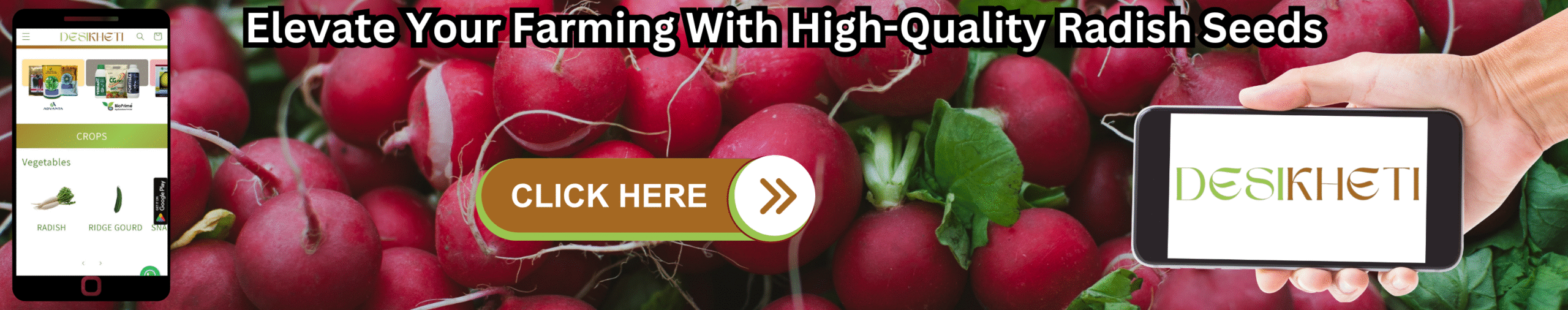 A banner advertisement with the text "Elevate Your Farming With High-Quality Radish Seeds" at the top. The background features a close-up shot of many vibrant red radishes with green leafy tops. On the left, a smartphone displays a mobile app interface with various icons, including what appears to be a radish icon. A hand on the right holds a tablet-like device displaying the "DESIKHETI" logo. A "CLICK HERE" button with an arrow pointing right is superimposed on the radish image. Given the current location of Hyderabad, Telangana, India, where radishes are a common vegetable, this advertisement likely targets farmers in that region interested in high-quality seeds.