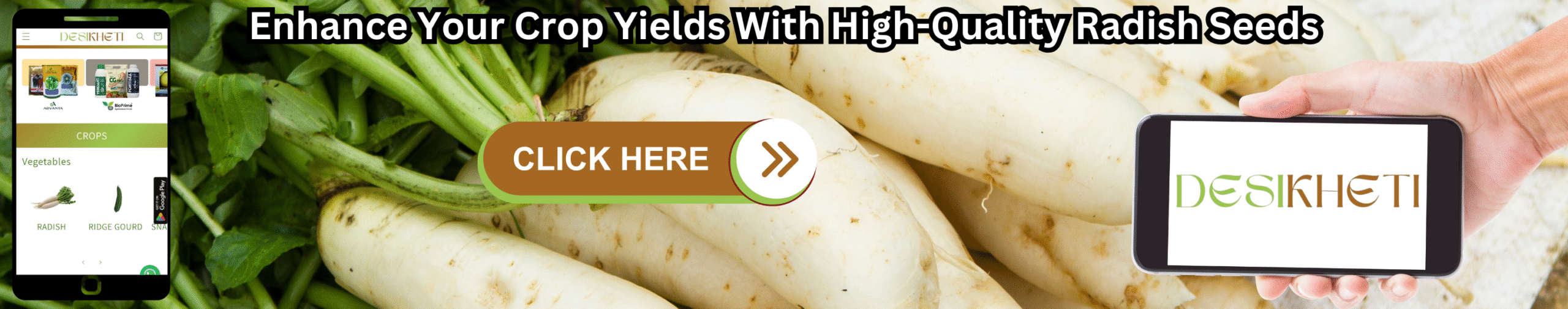 A banner advertisement with the text "Enhance Your Crop Yields With High-Quality Radish Seeds" at the top. The background features a close-up shot of several long, white radishes with green leafy tops. On the left, a smartphone displays a mobile app interface with various icons, including what appears to be a radish icon. A hand on the right holds a tablet-like device displaying the "DESIKHETI" logo. A "CLICK HERE" button with an arrow pointing right is superimposed on the radish image. Given the current location of Hyderabad, Telangana, India, where radishes are a common vegetable, this advertisement likely targets farmers in that region interested in high-quality seeds to improve their yields. The radishes appear to be of the Daikon or a similar long white variety.