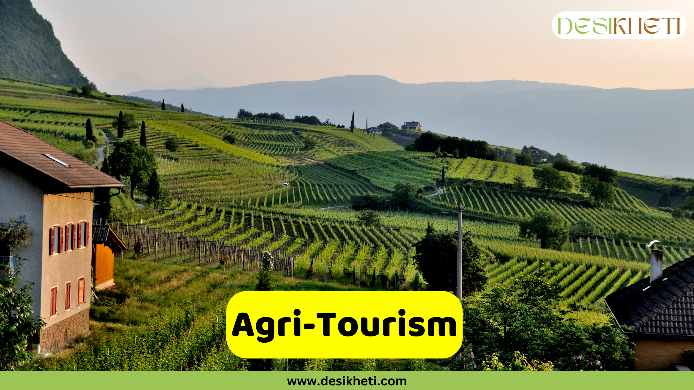 Agri-Tourism A scenic landscape features rolling hills covered in neatly cultivated vineyards, creating a pattern of green rows. Several buildings, appearing to be houses or farm structures with pitched roofs, are nestled amongst the vineyards and surrounding greenery. In the background, more distant hills fade into a hazy, light blue sky. The overall scene suggests a rural, agricultural region that could be appealing to tourists. A bright yellow banner is superimposed at the bottom center, displaying the text "Agri-Tourism" in bold, dark lettering. Given the context of agricultural business ideas and the picturesque view of a working agricultural landscape with potential for visitor accommodation, this image likely represents agri-tourism. The "DESIKHETI" logo is visible in the upper right corner, and the website address "www.desikheti.com" is at the bottom.
Opens in a new window